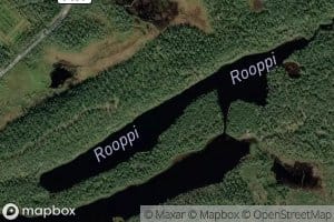Rooppi