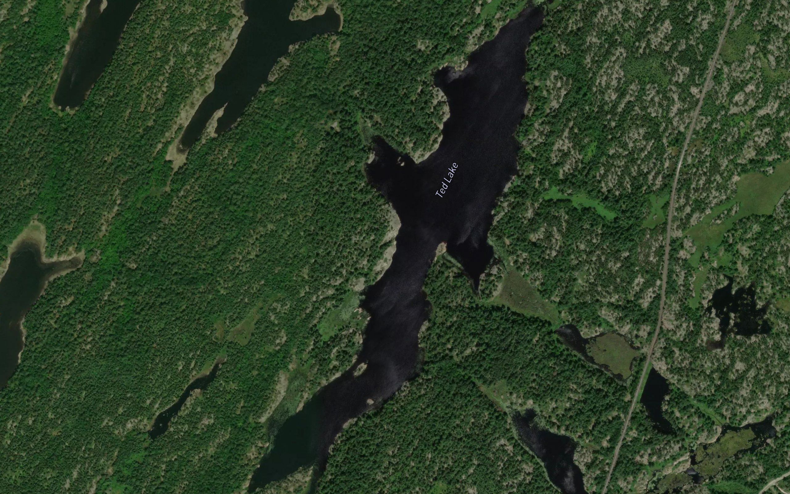Ted Lake