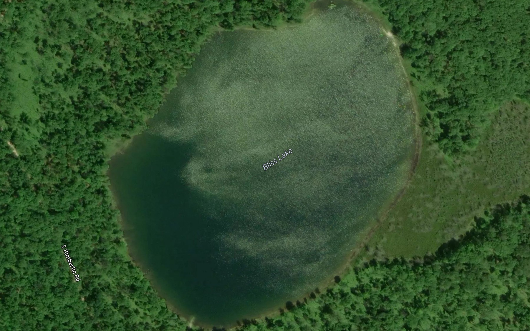Satellite map of the Bliss Lake
