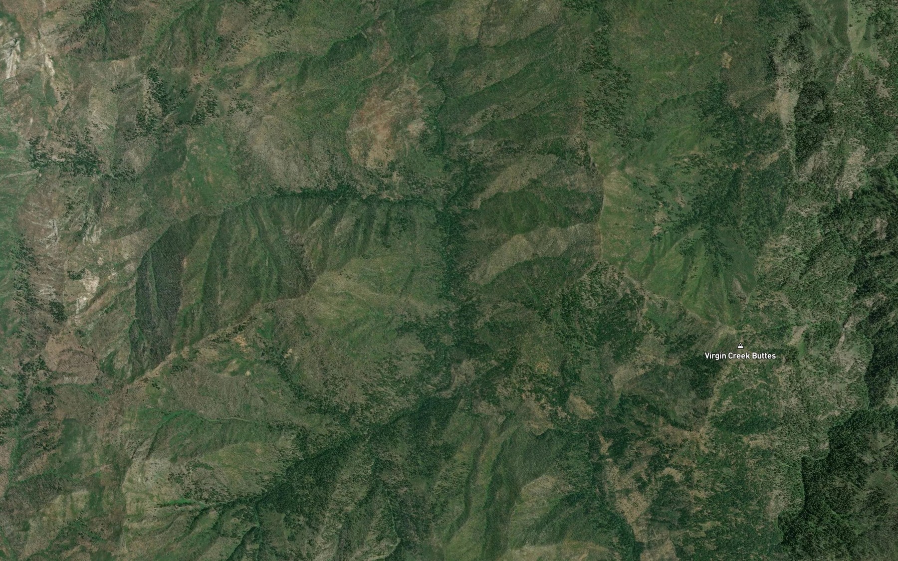 Satellite map of the Soldier Creek