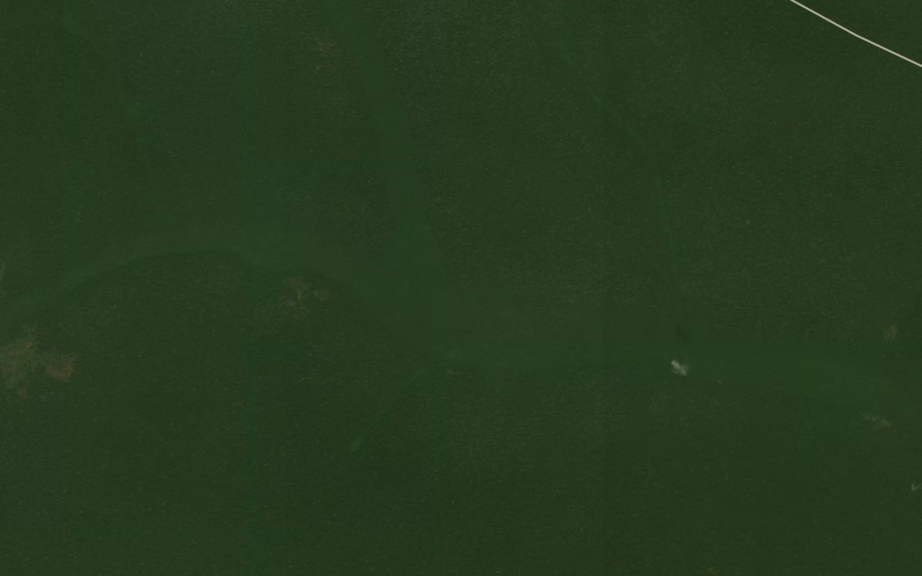 Satellite map of the Loanga
