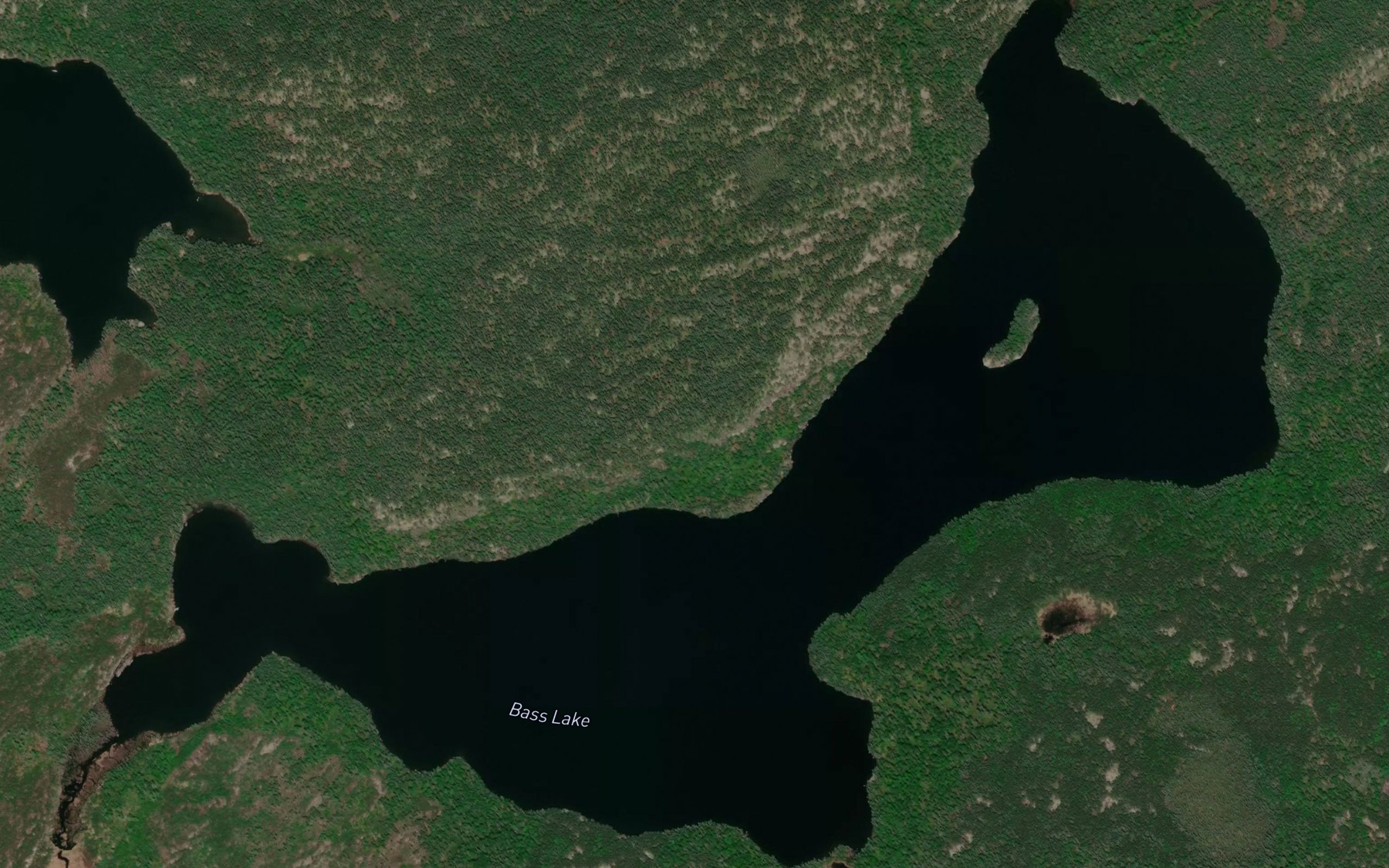 Satellite map of the Bass Lake