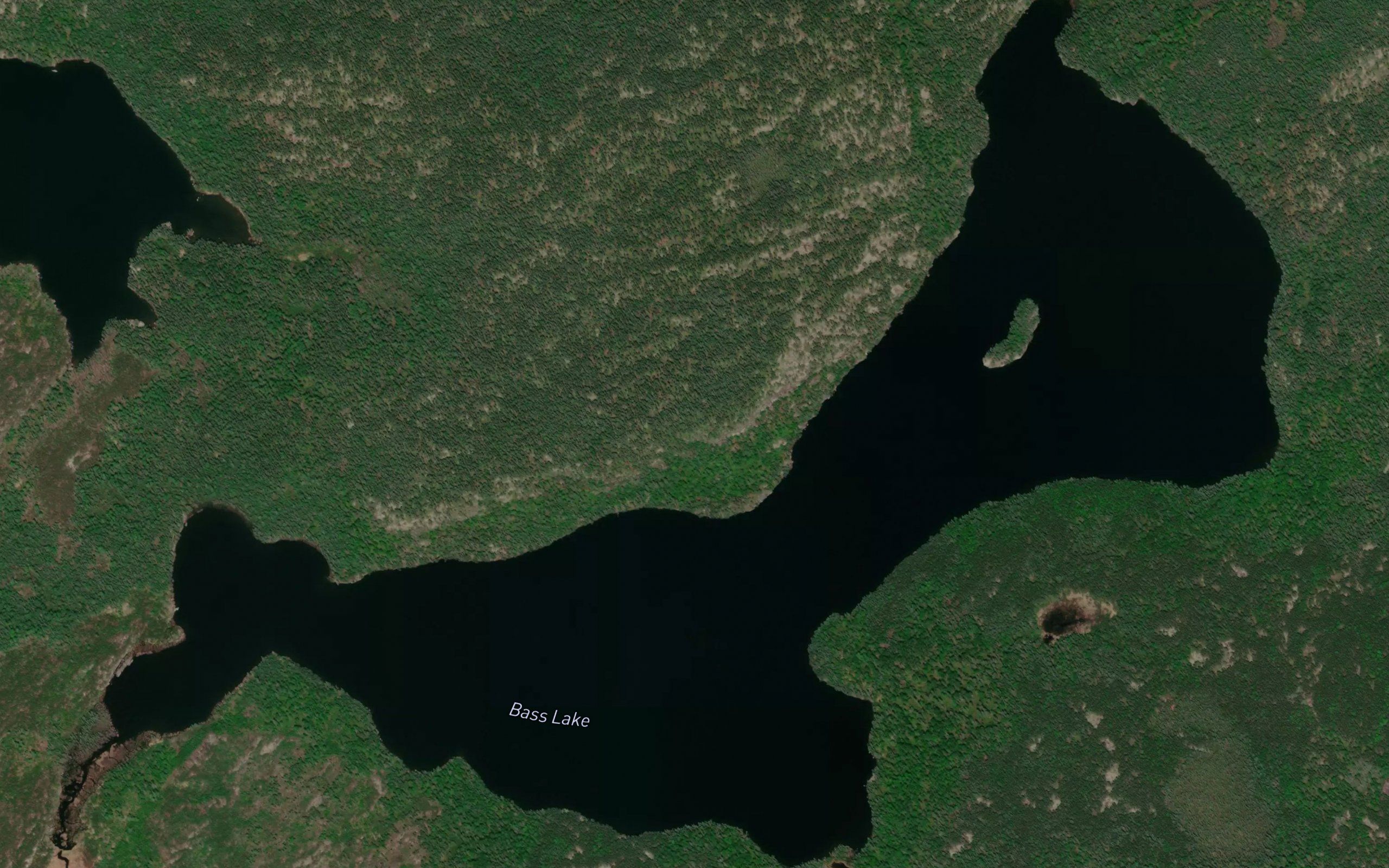 Bass Lake