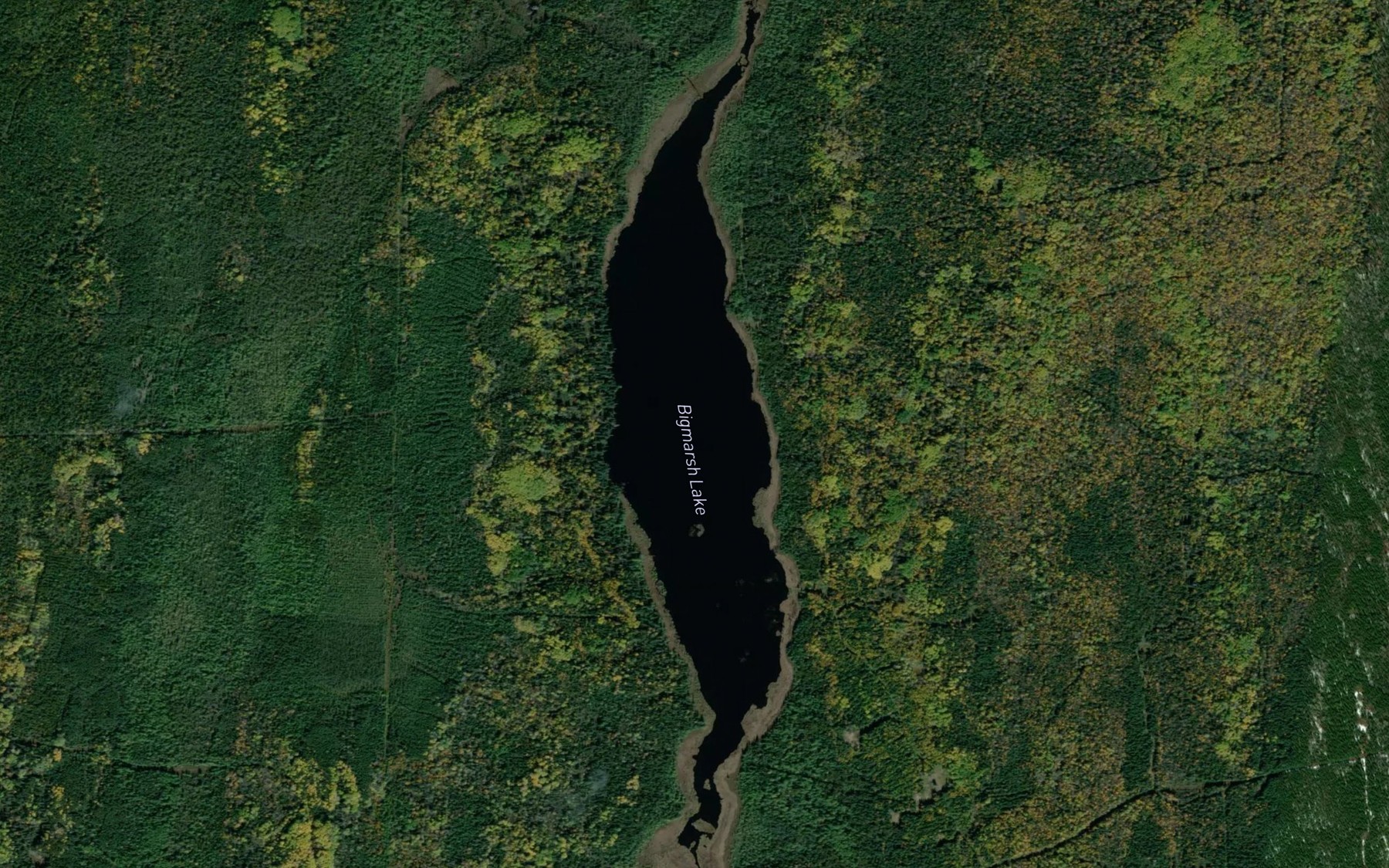 Satellite map of the Bigmarsh Lake
