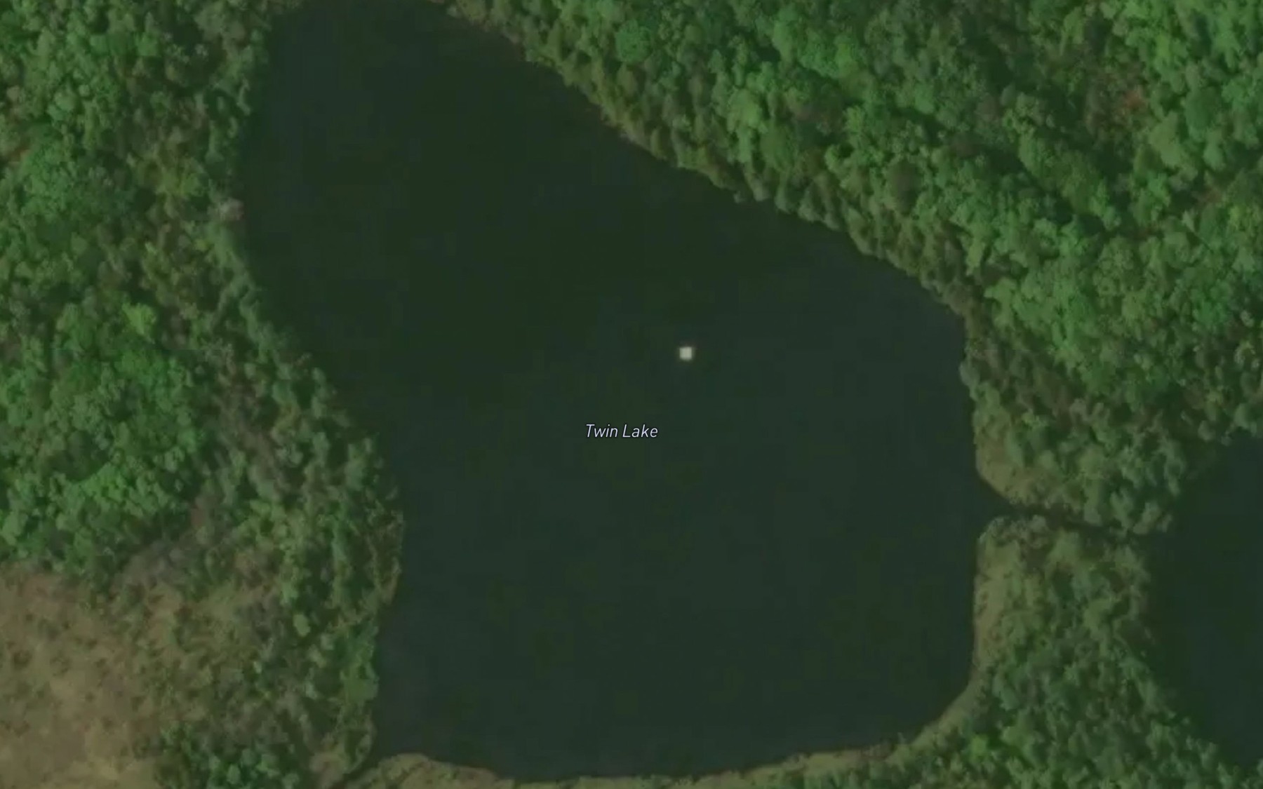 Satellite map of the Twin Lake
