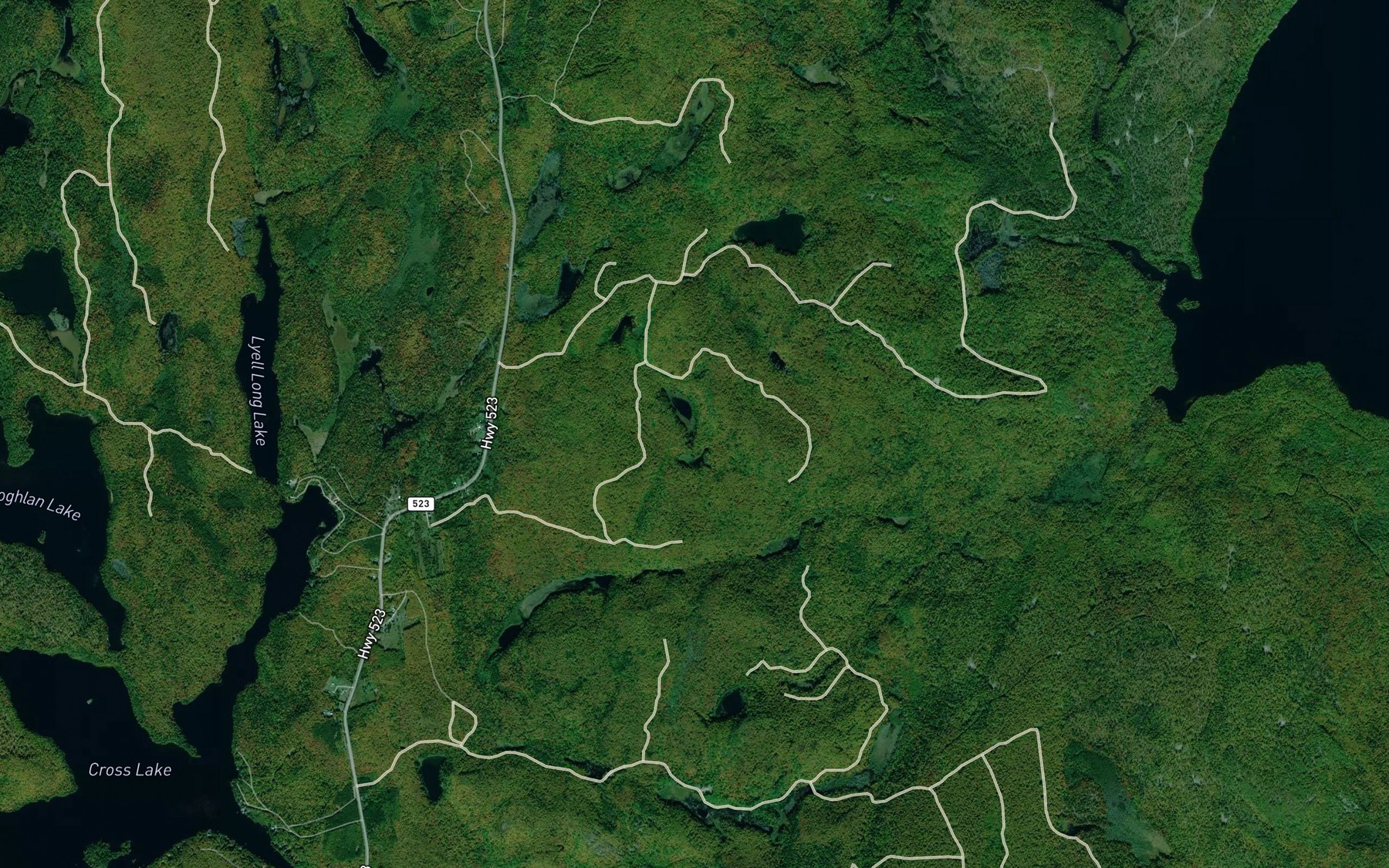 Satellite map of the Lost Pond