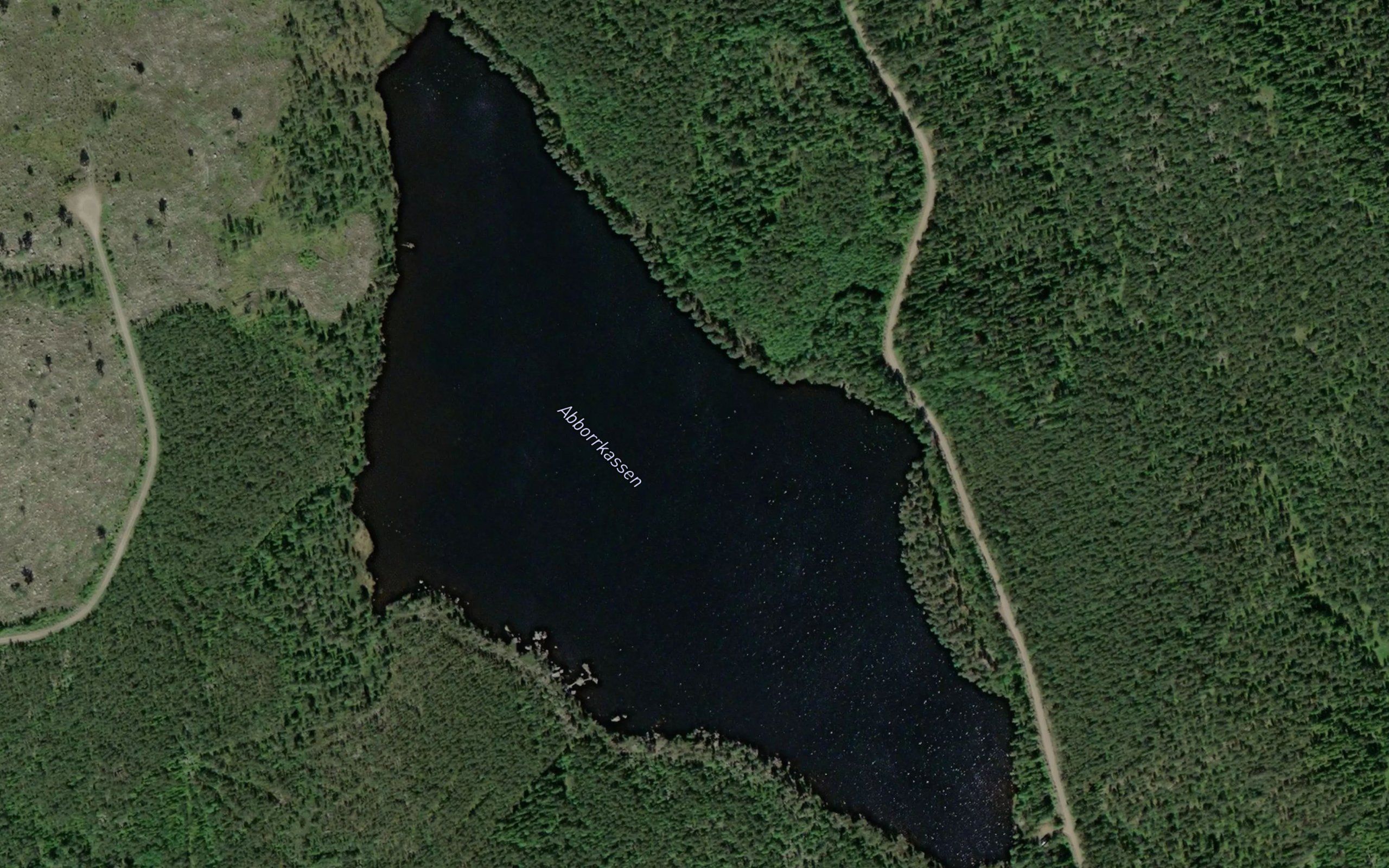 Abborrkassen