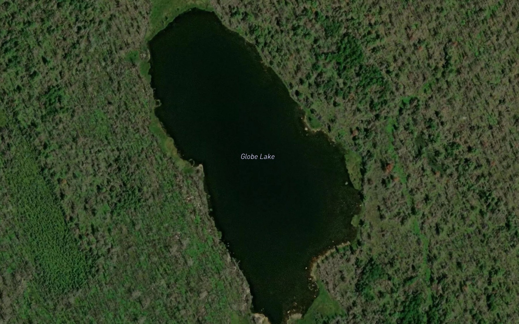 Satellite map of the Globe Lake