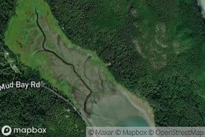 Mud Bay