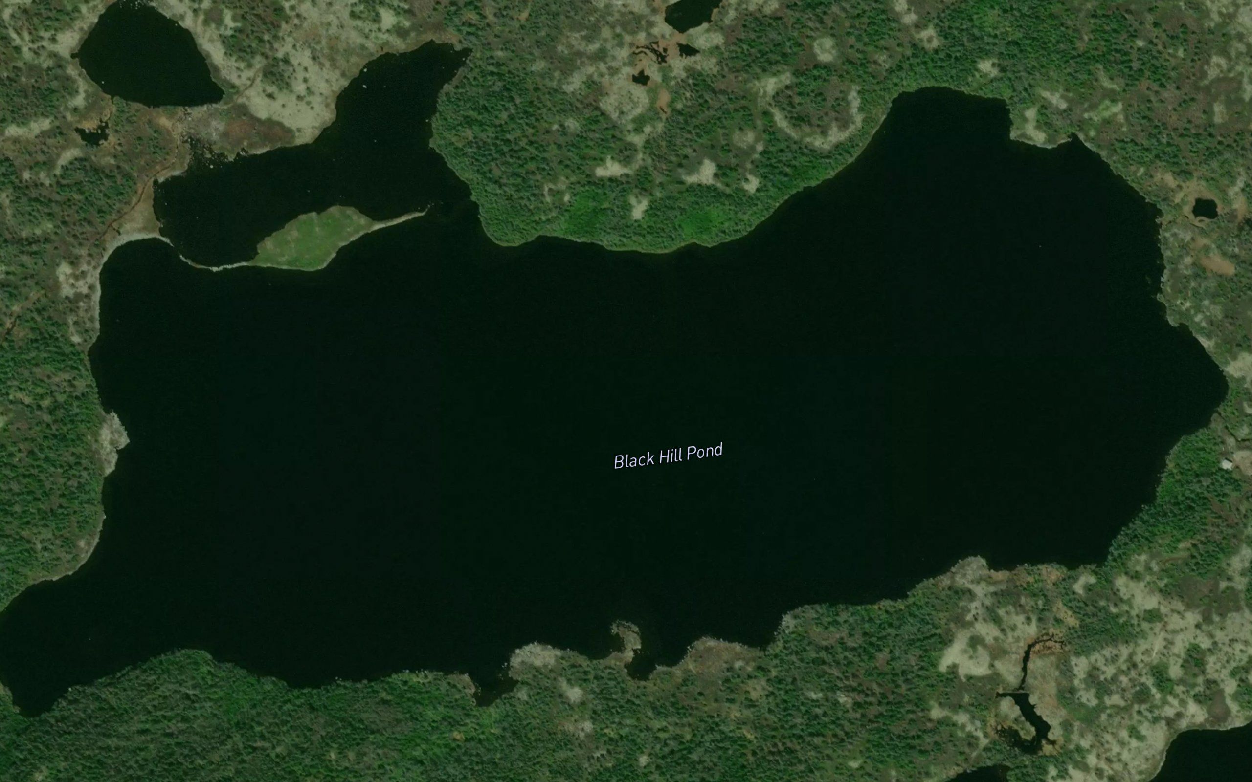Black Hill Pond