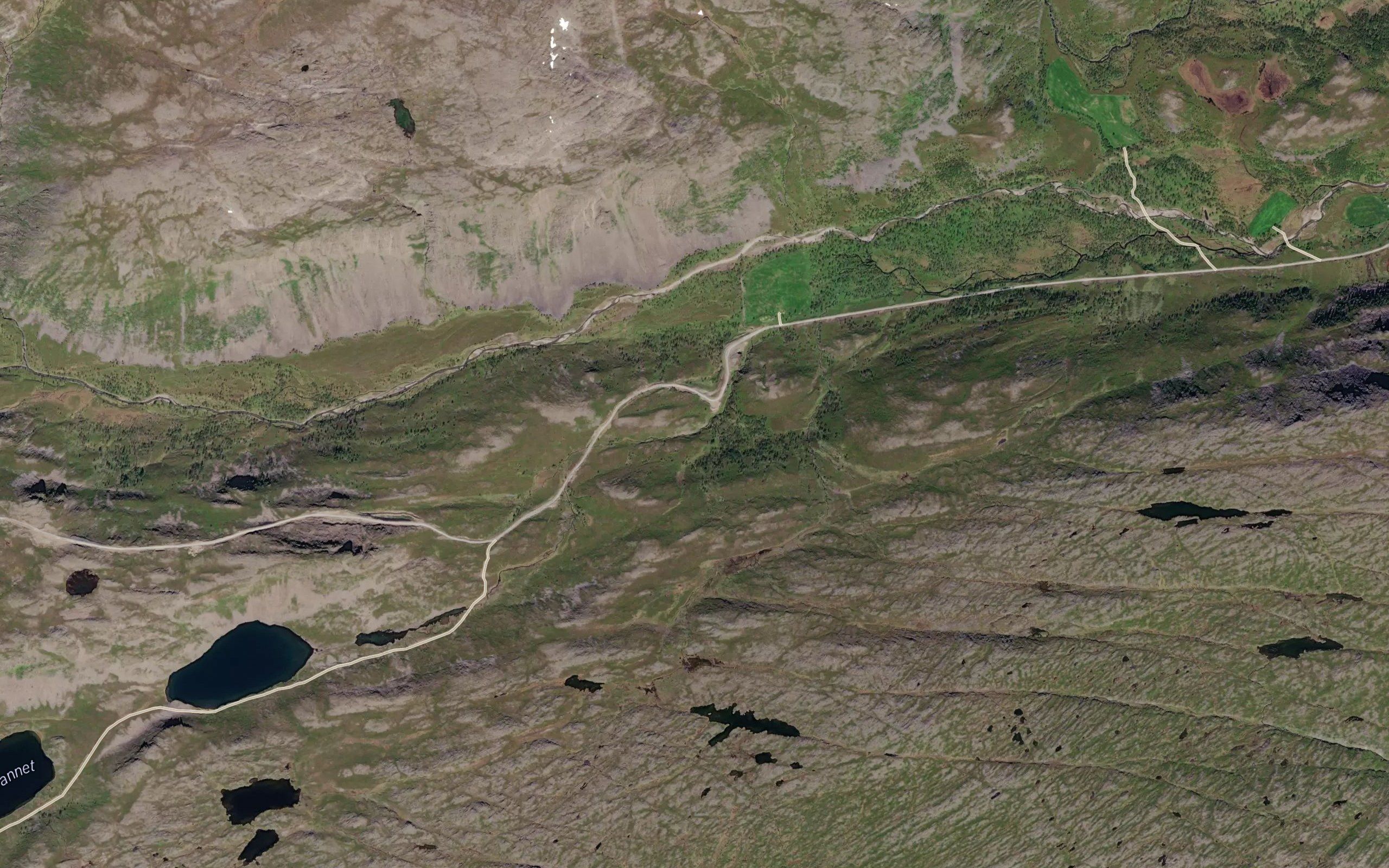 Badjeruovdi