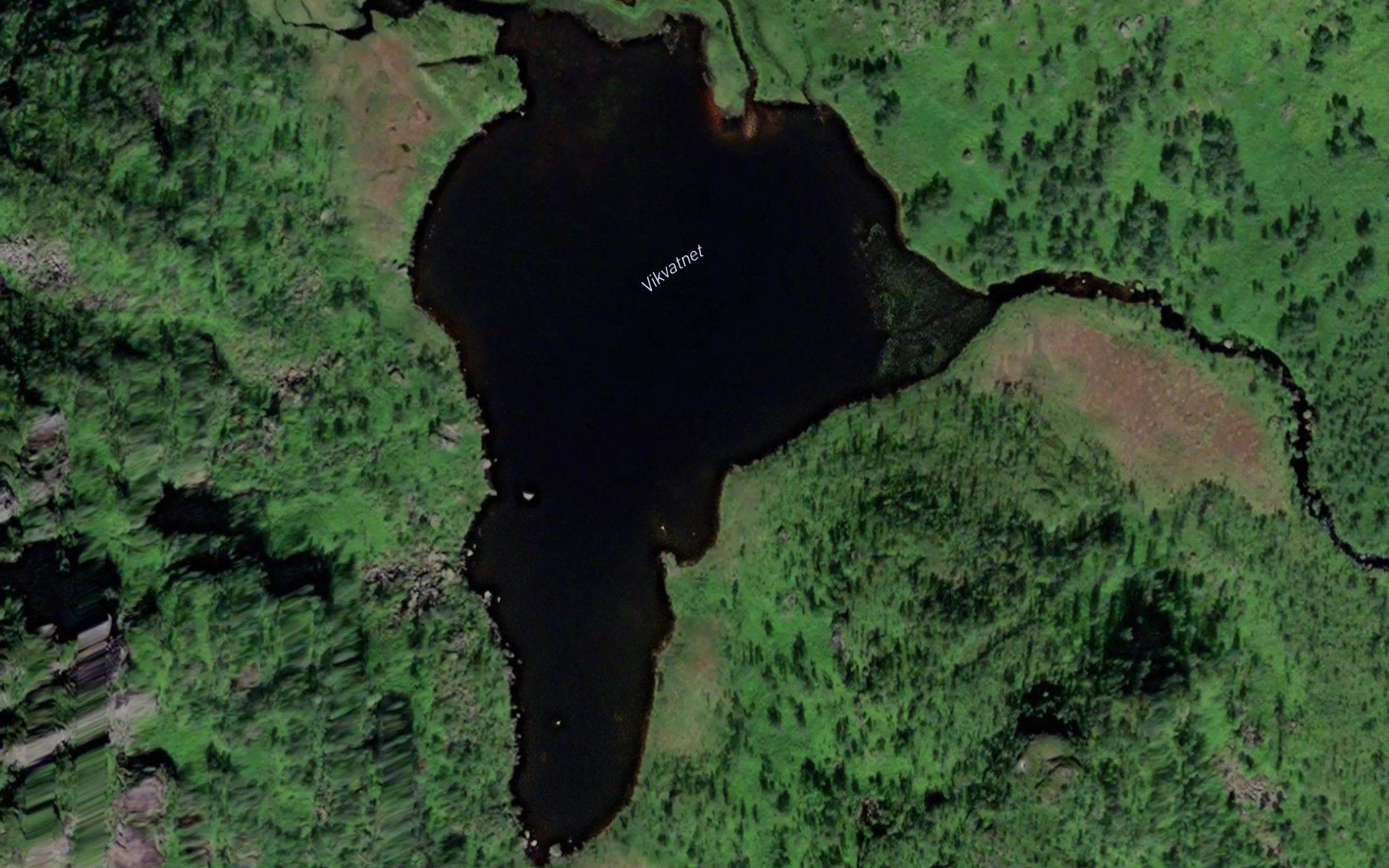 Vikvatnet