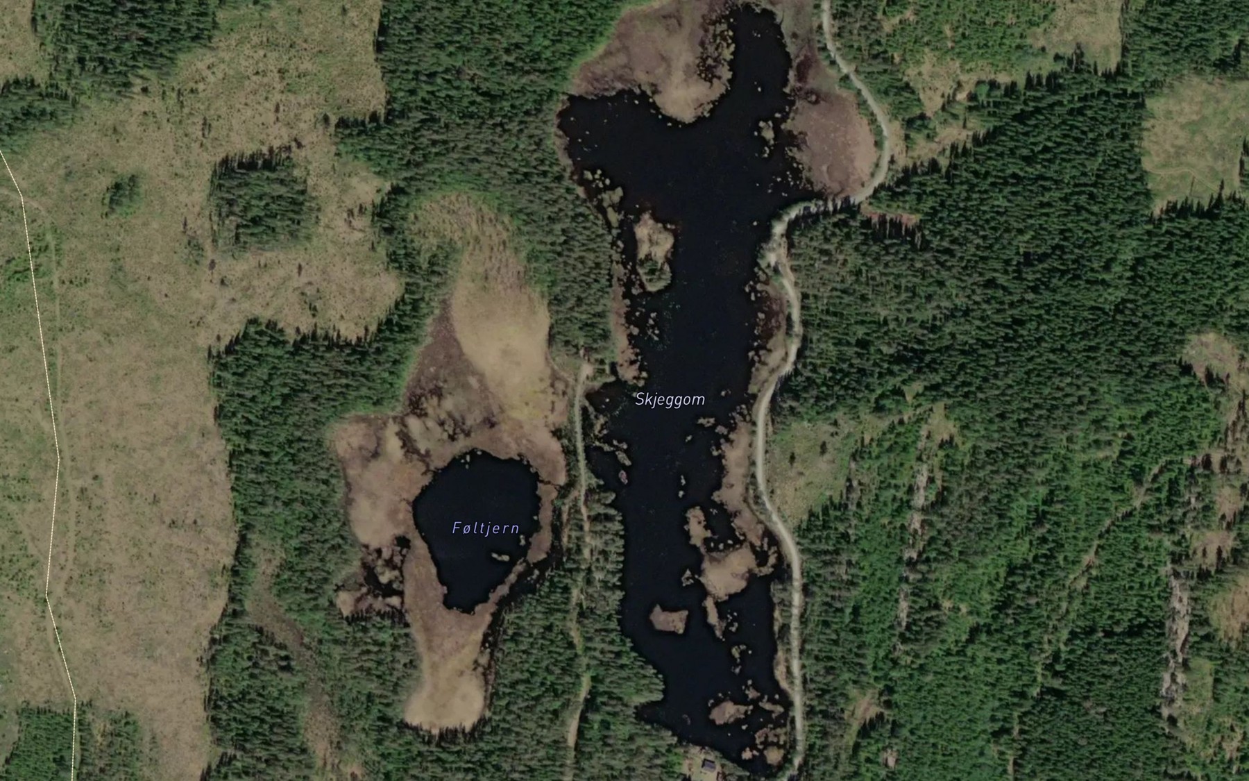 Satellite map of the Skjeggumvatn