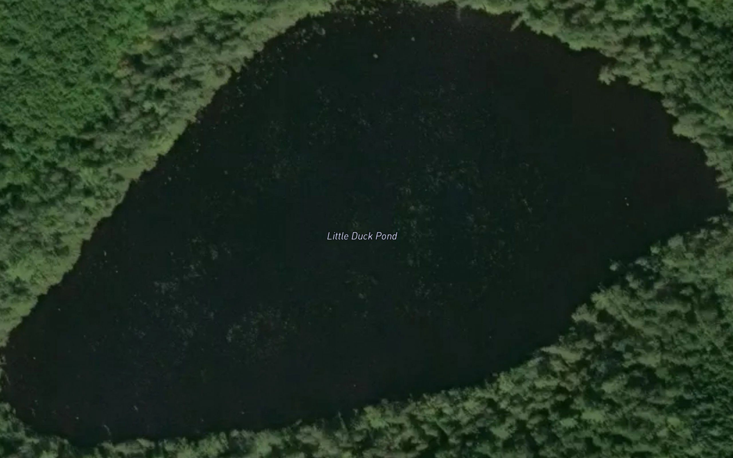 Little Duck Pond