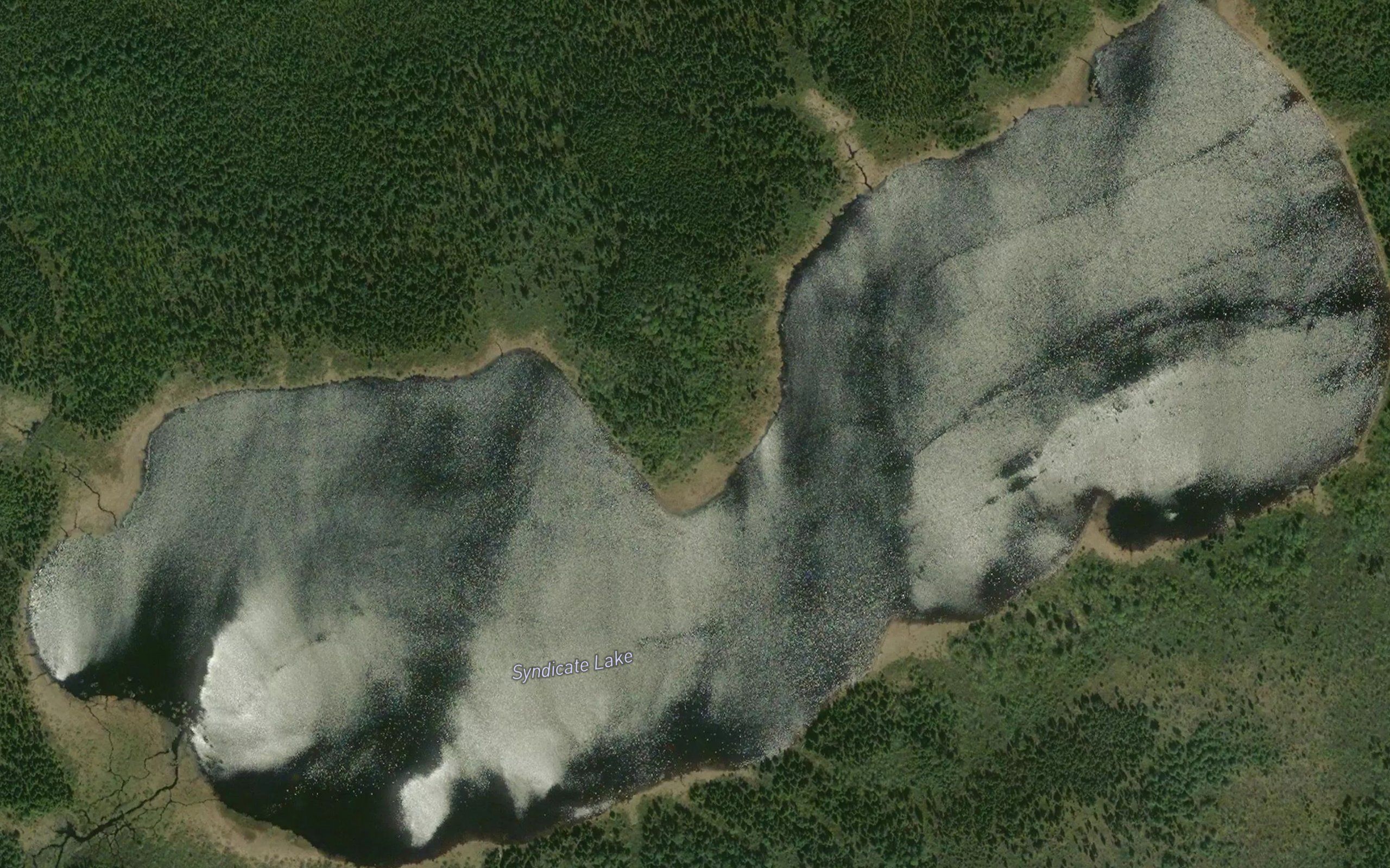 Syndicate Lake