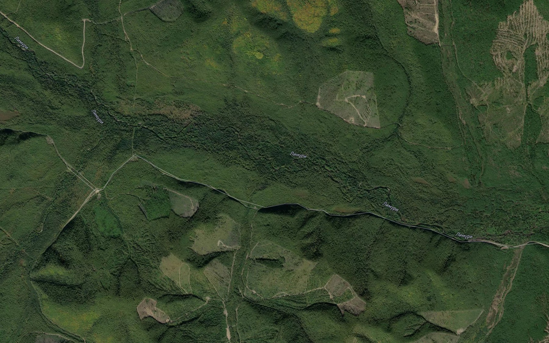 Satellite map of the Shumnyy