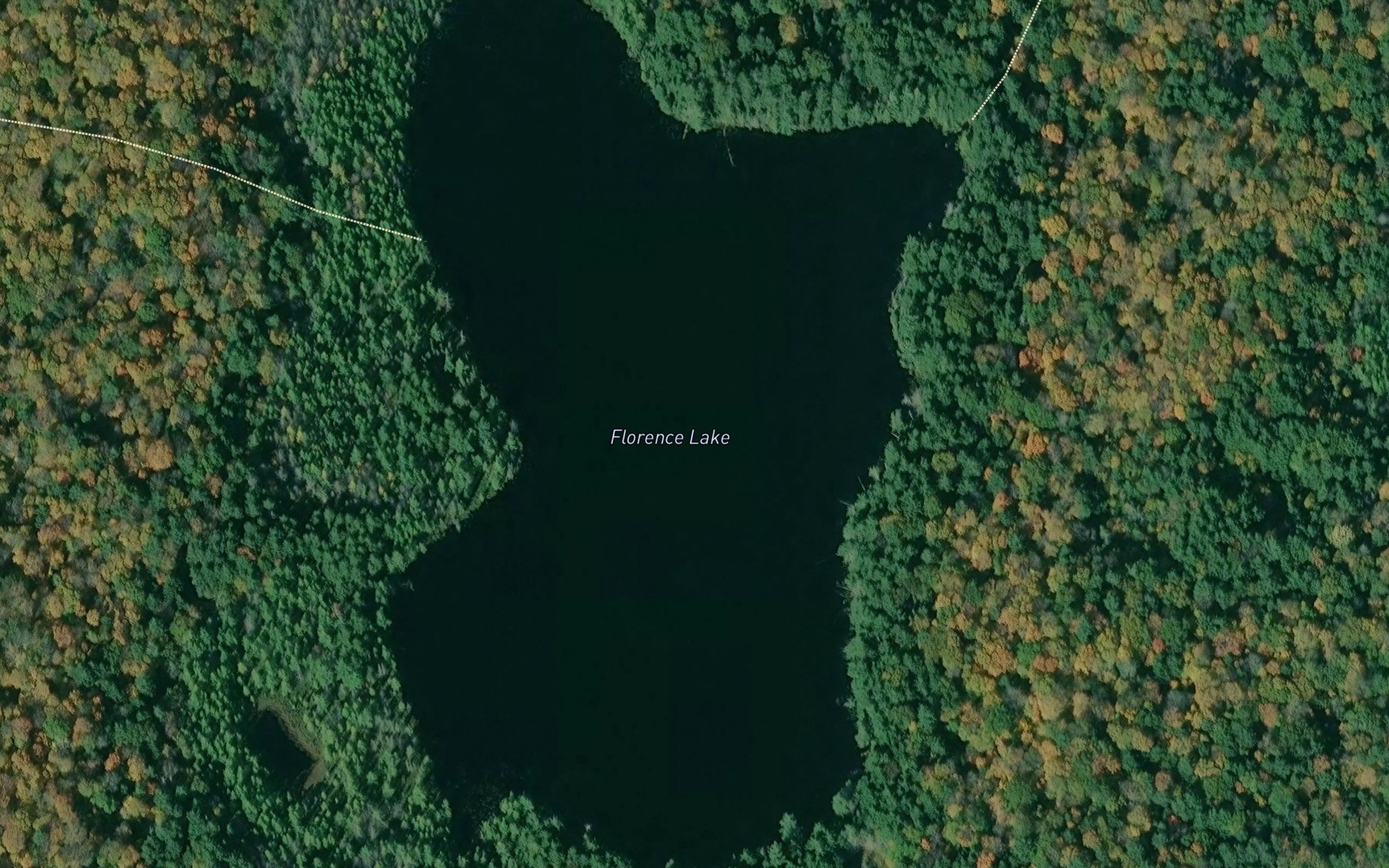 Satellite map of the Florence Lake