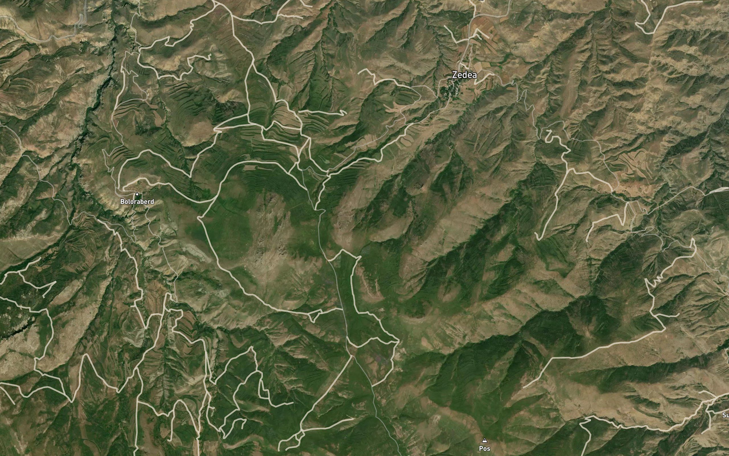Shlorut