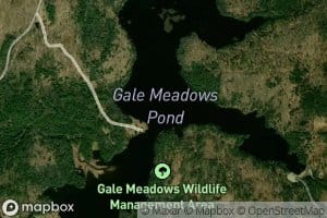 Gale Meadows Pond