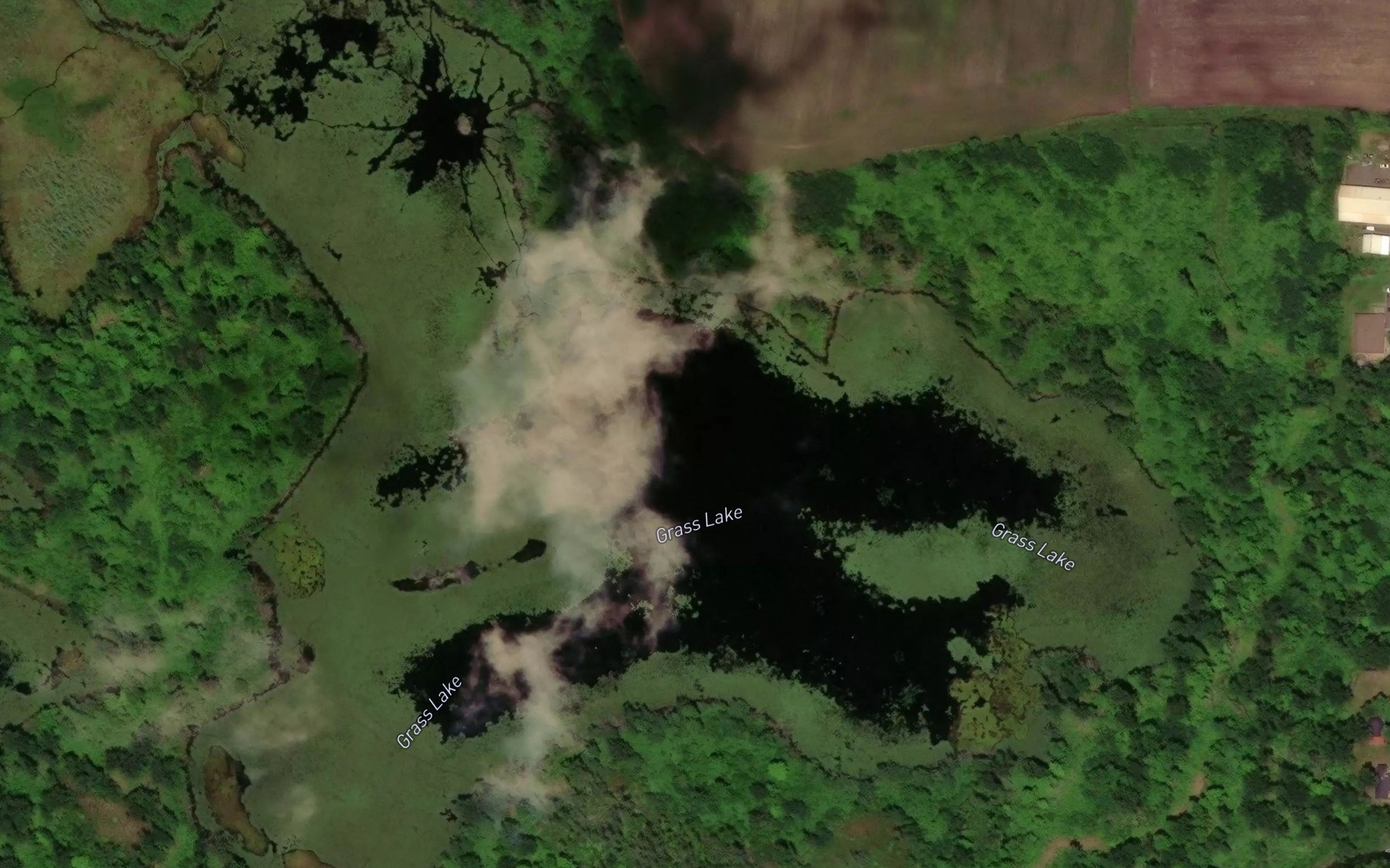 Satellite map of the Grass Lake