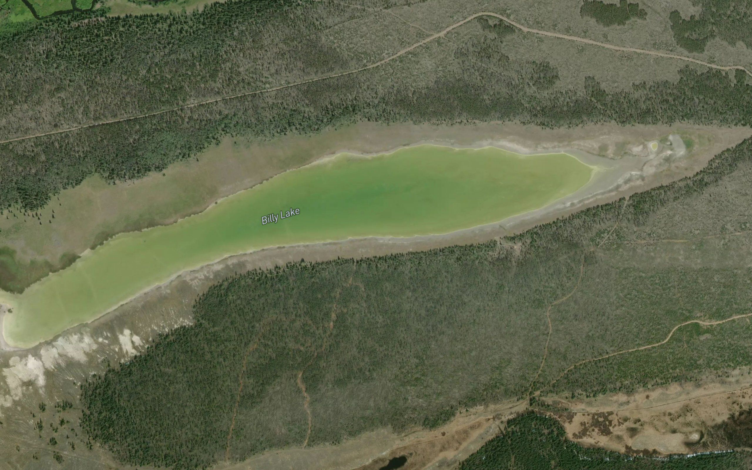 Billy Lake