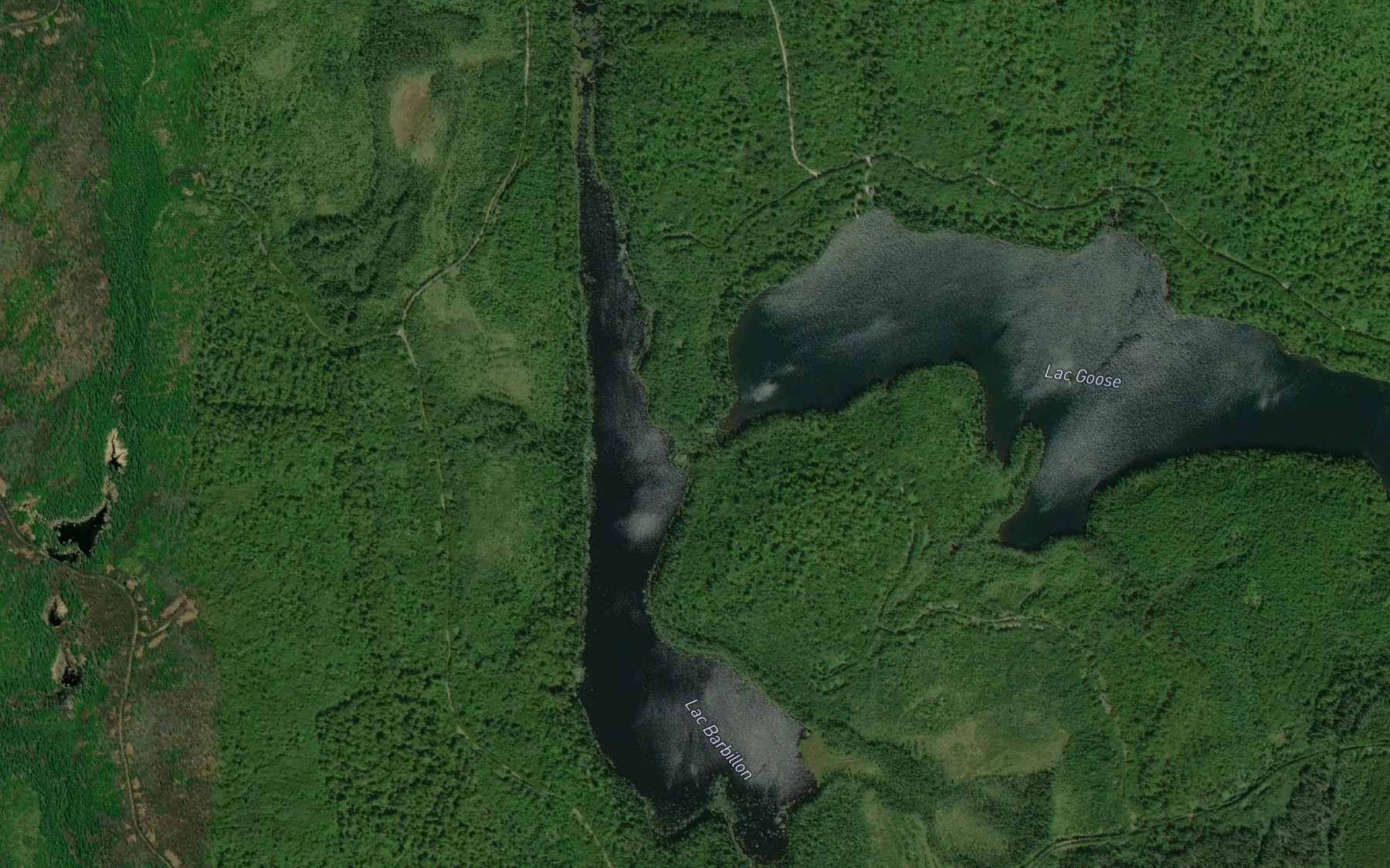 Satellite map of the Lac Barbillon