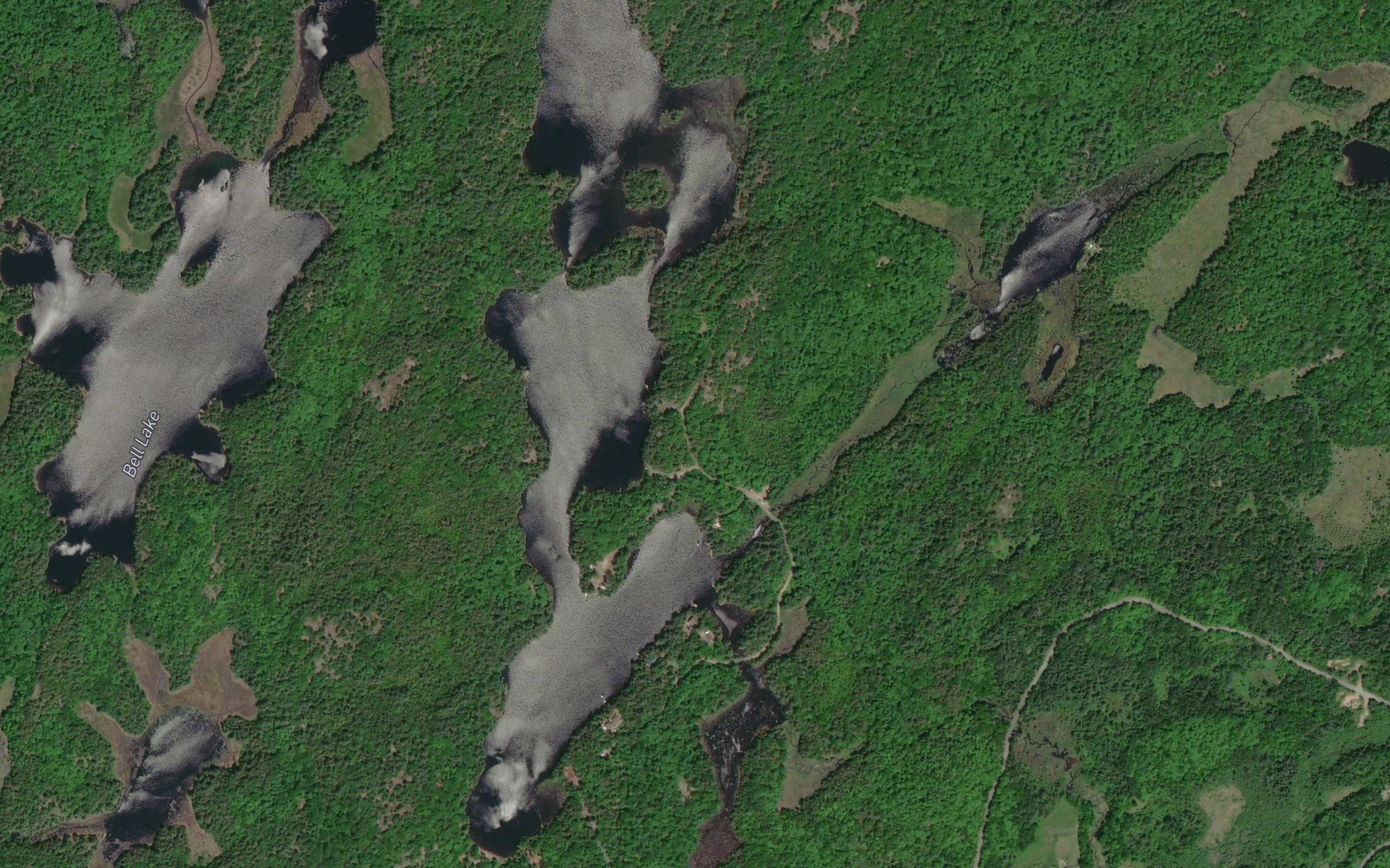 Snake Lake