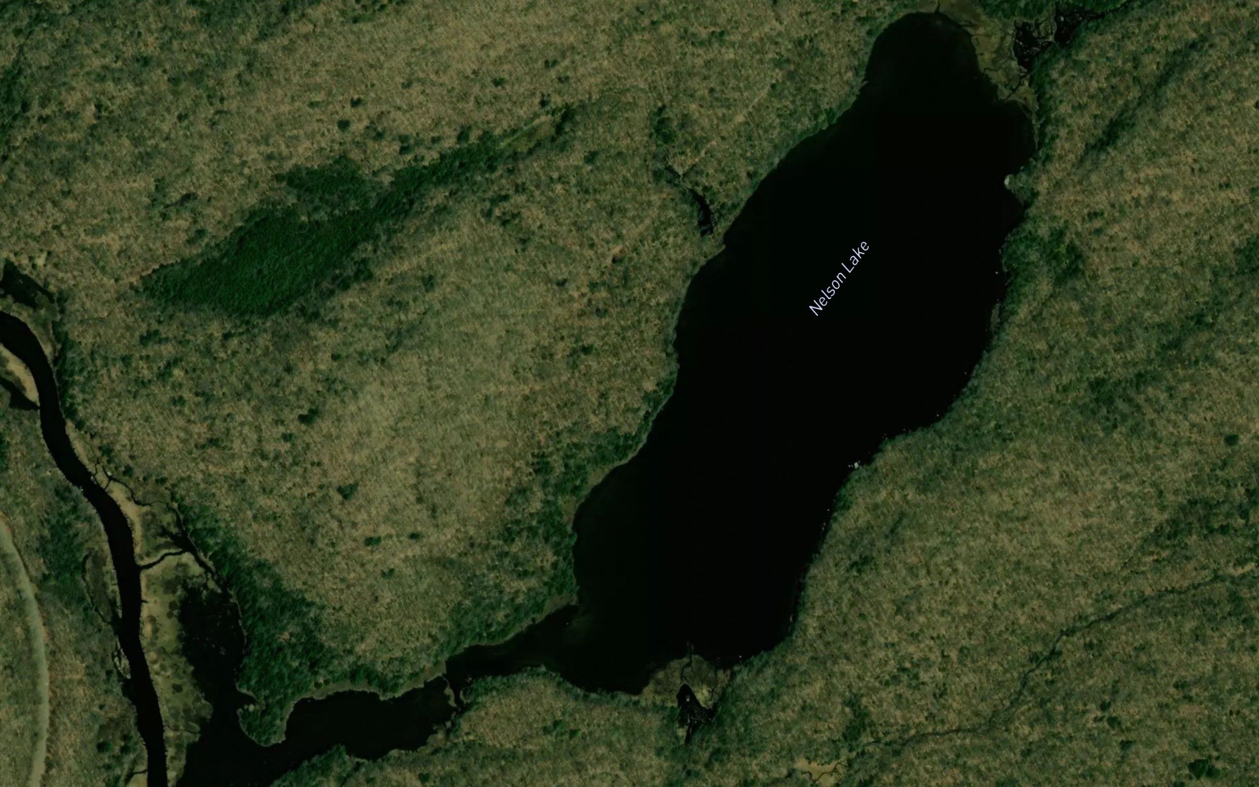 Nelson Lake