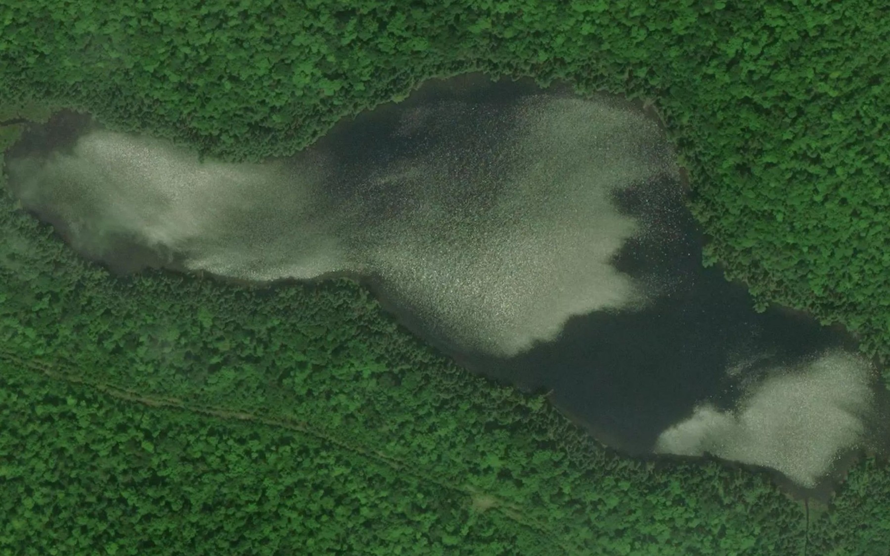 Satellite map of the Lac Vulcan