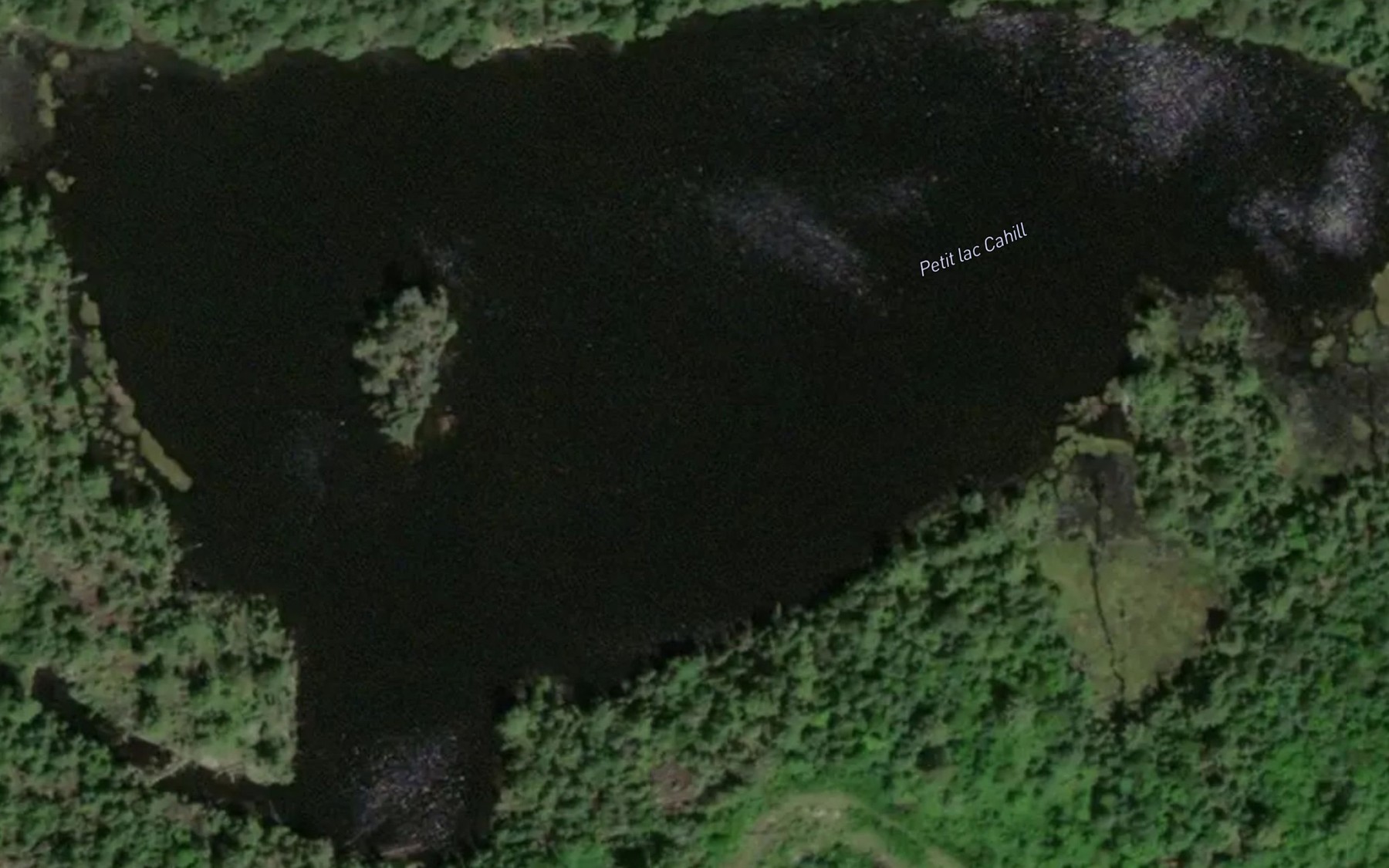 Satellite map of the Petit lac Cahill