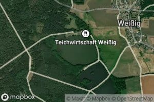 Alter Teich