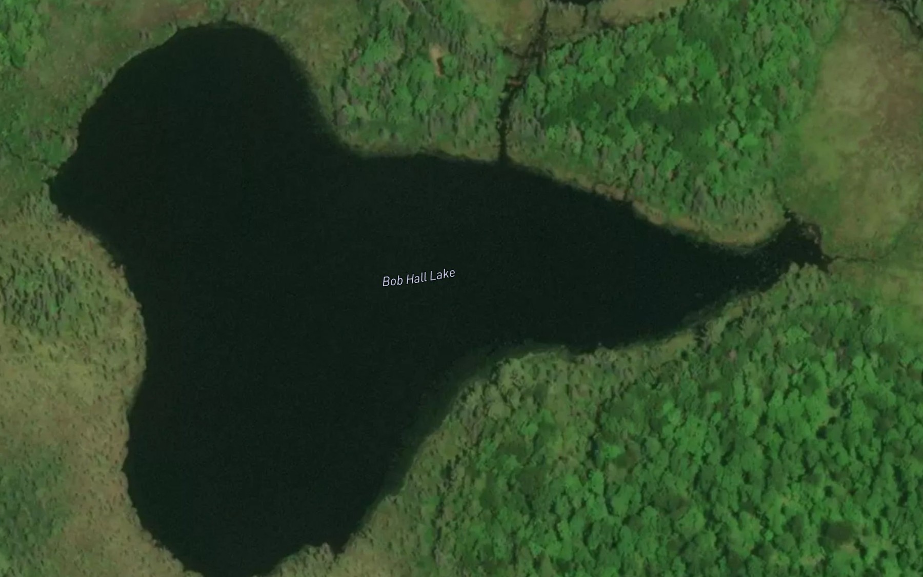 Satellite map of the Bob Hall Lake
