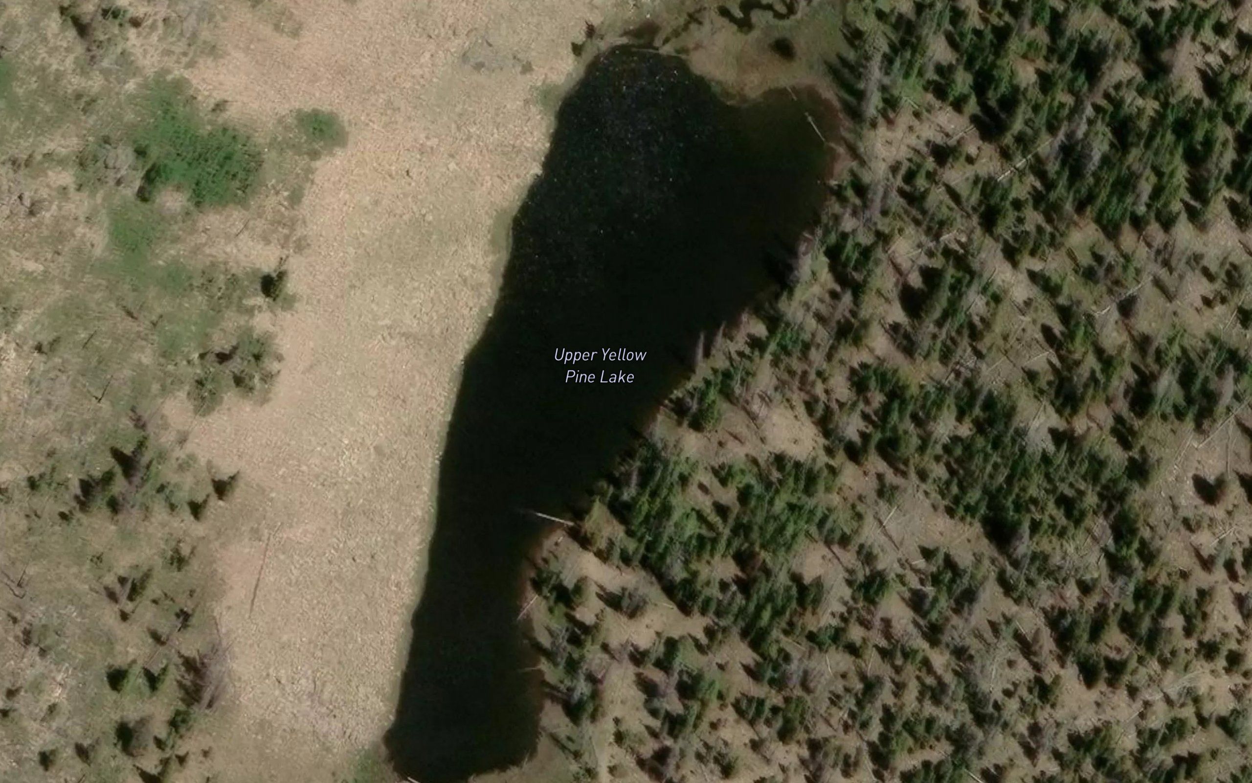 Upper Yellow Pine Lake