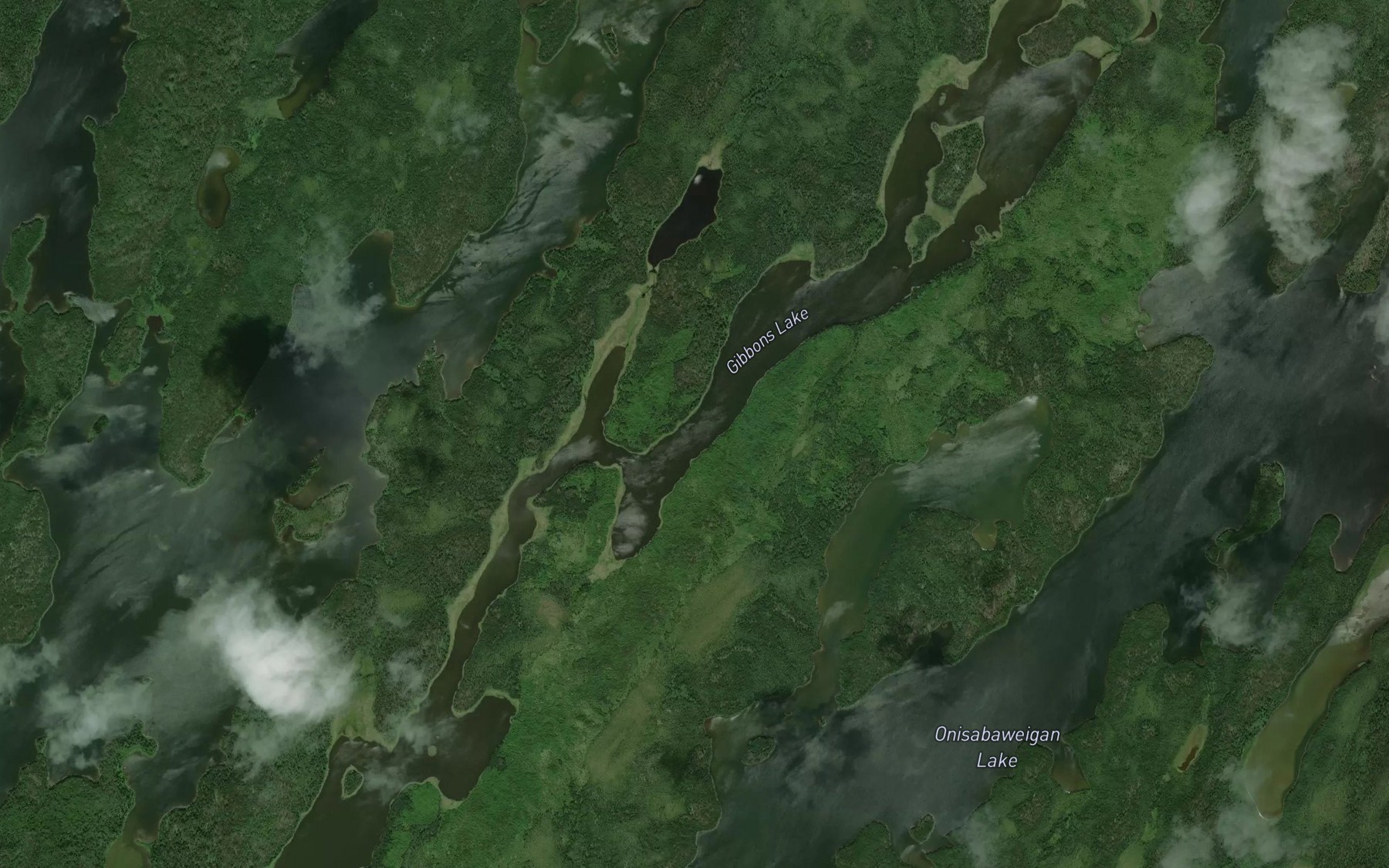 Satellite map of the Gibbons Lake