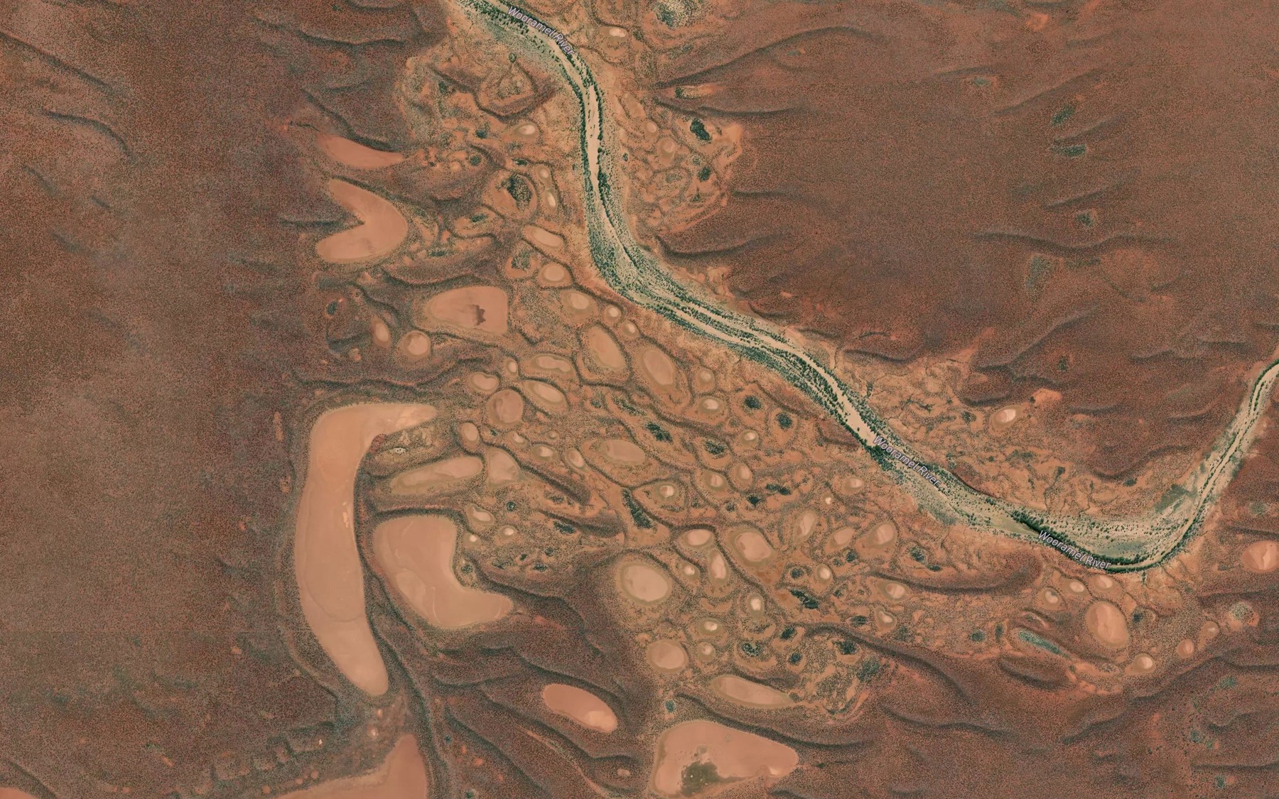 Satellite map of the Wollarrie Pool