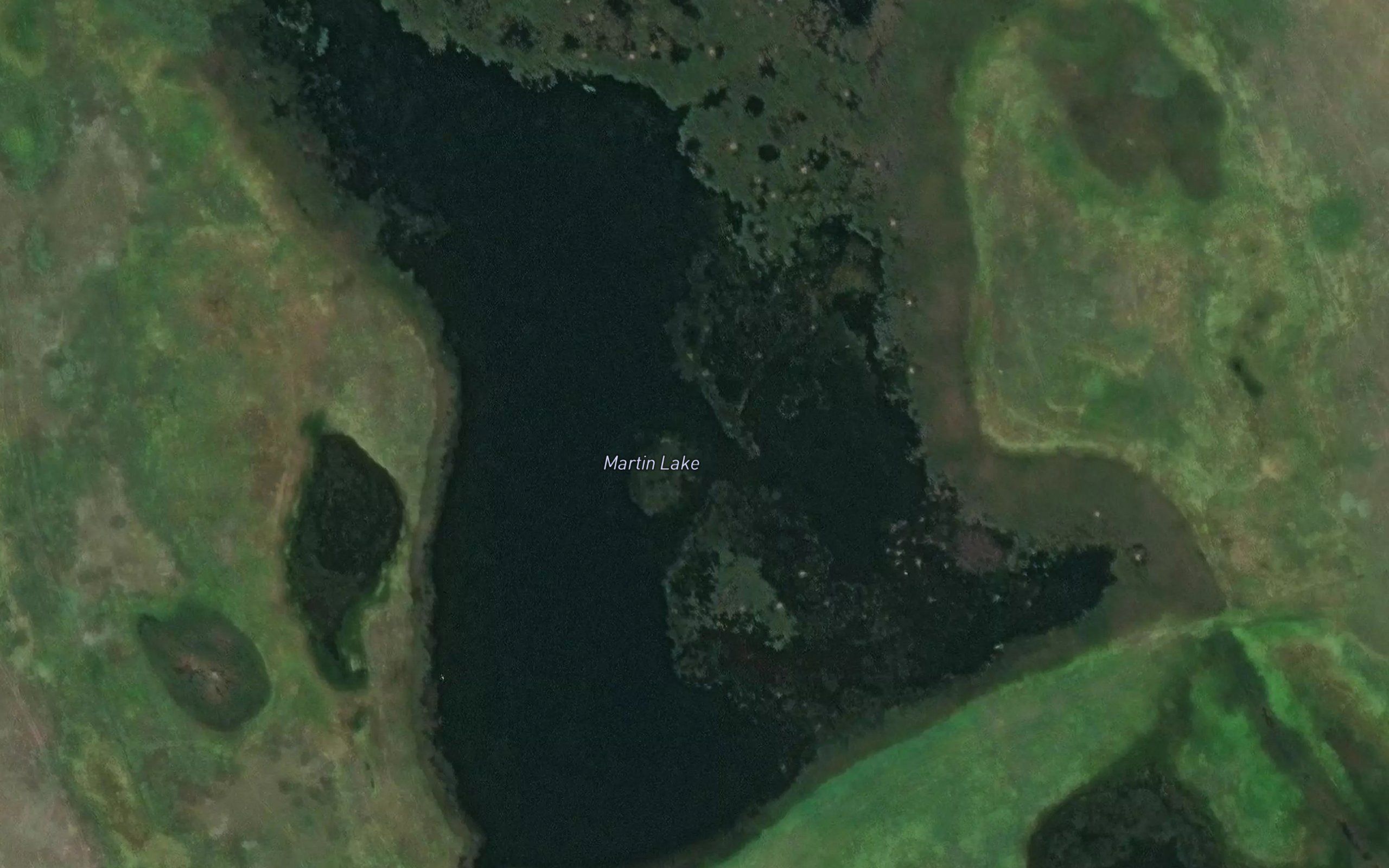 Martin Lake