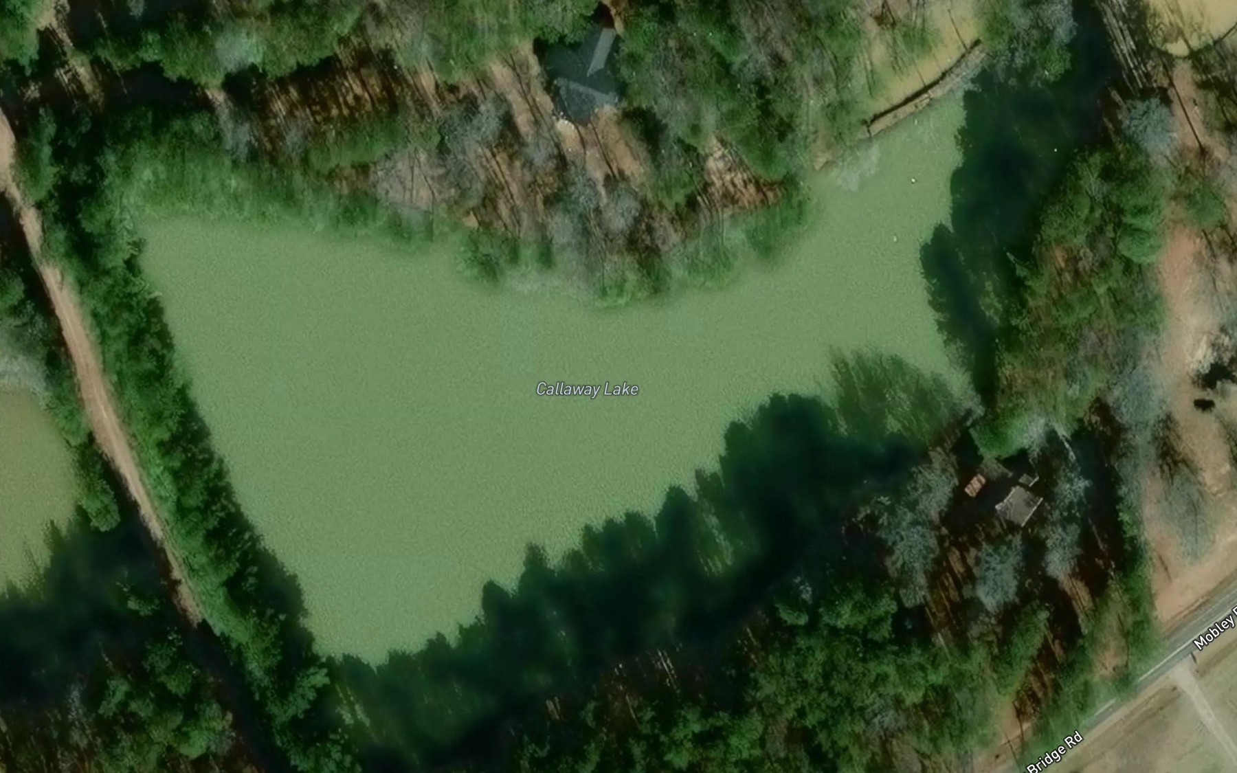 Satellite map of the Callaway Lake