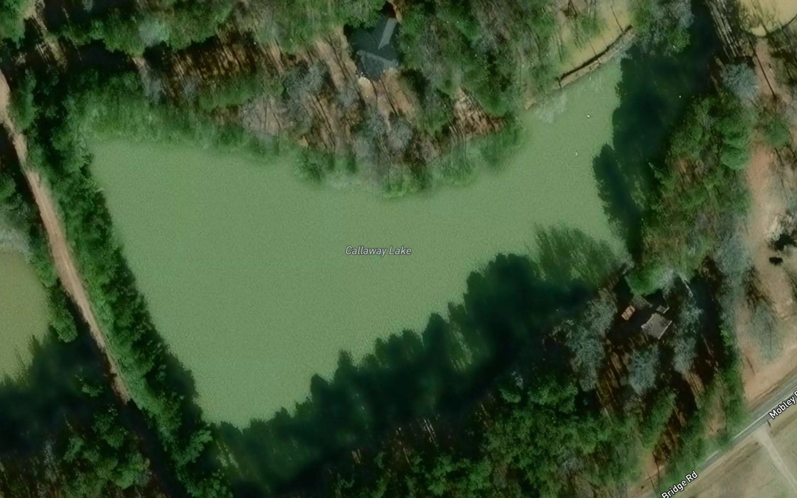 Callaway Lake