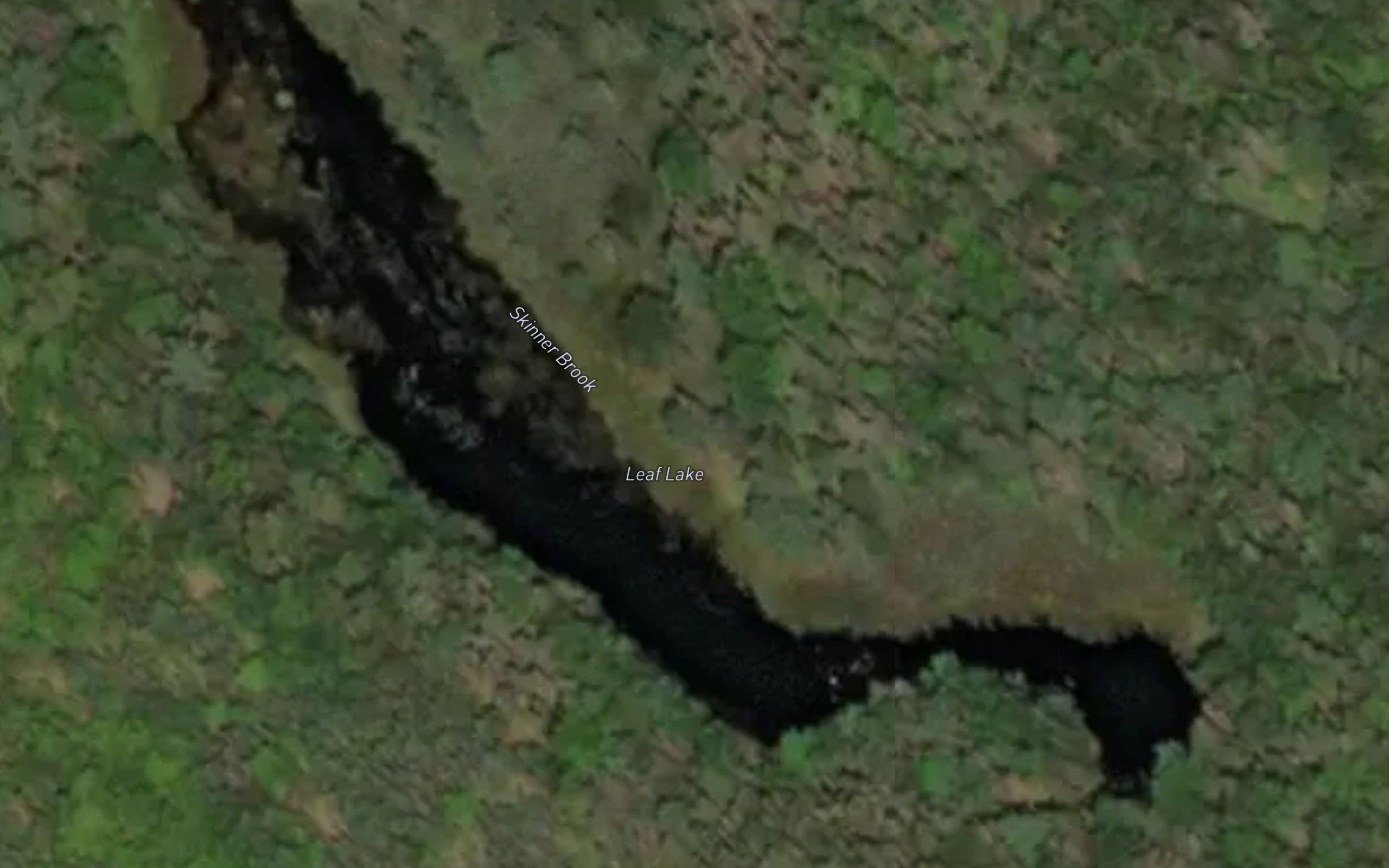 Leaf Lake
