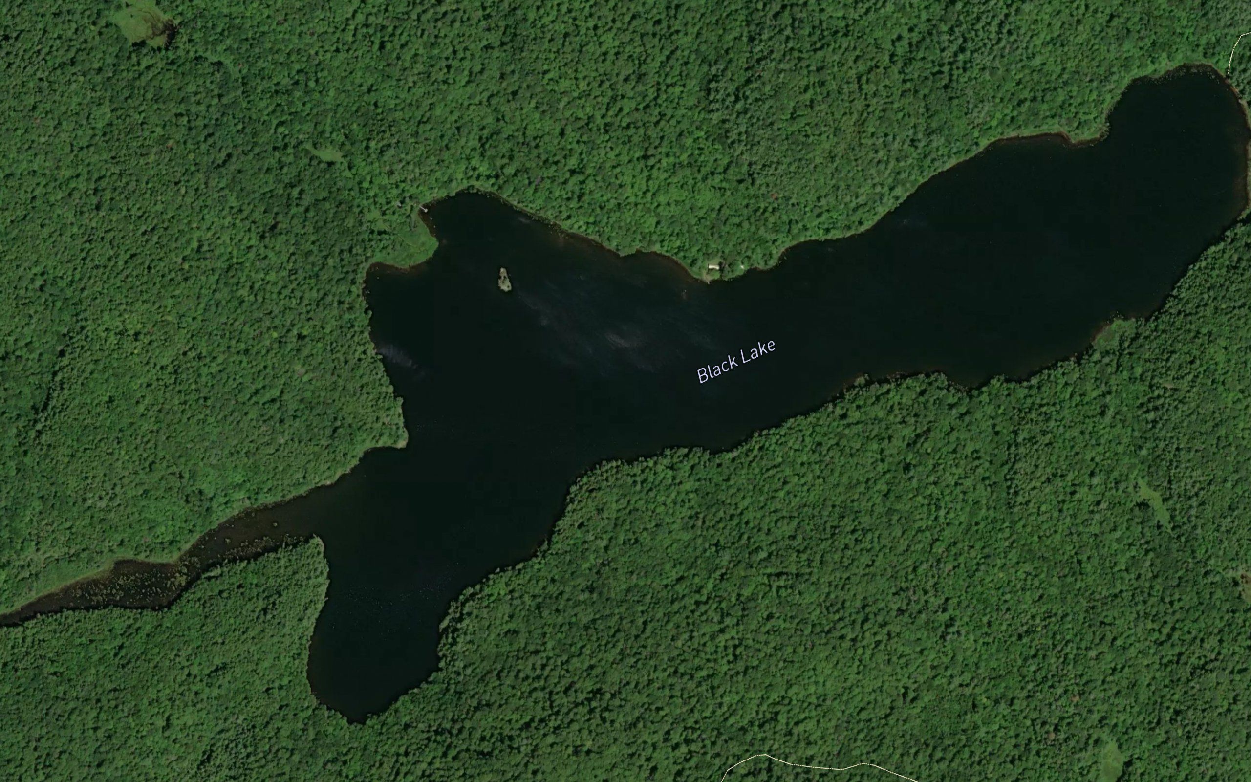 Black Lake