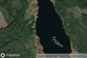 Tysjoen