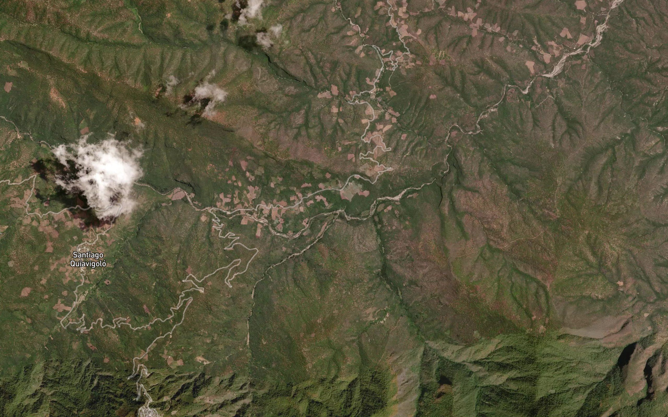 Venado