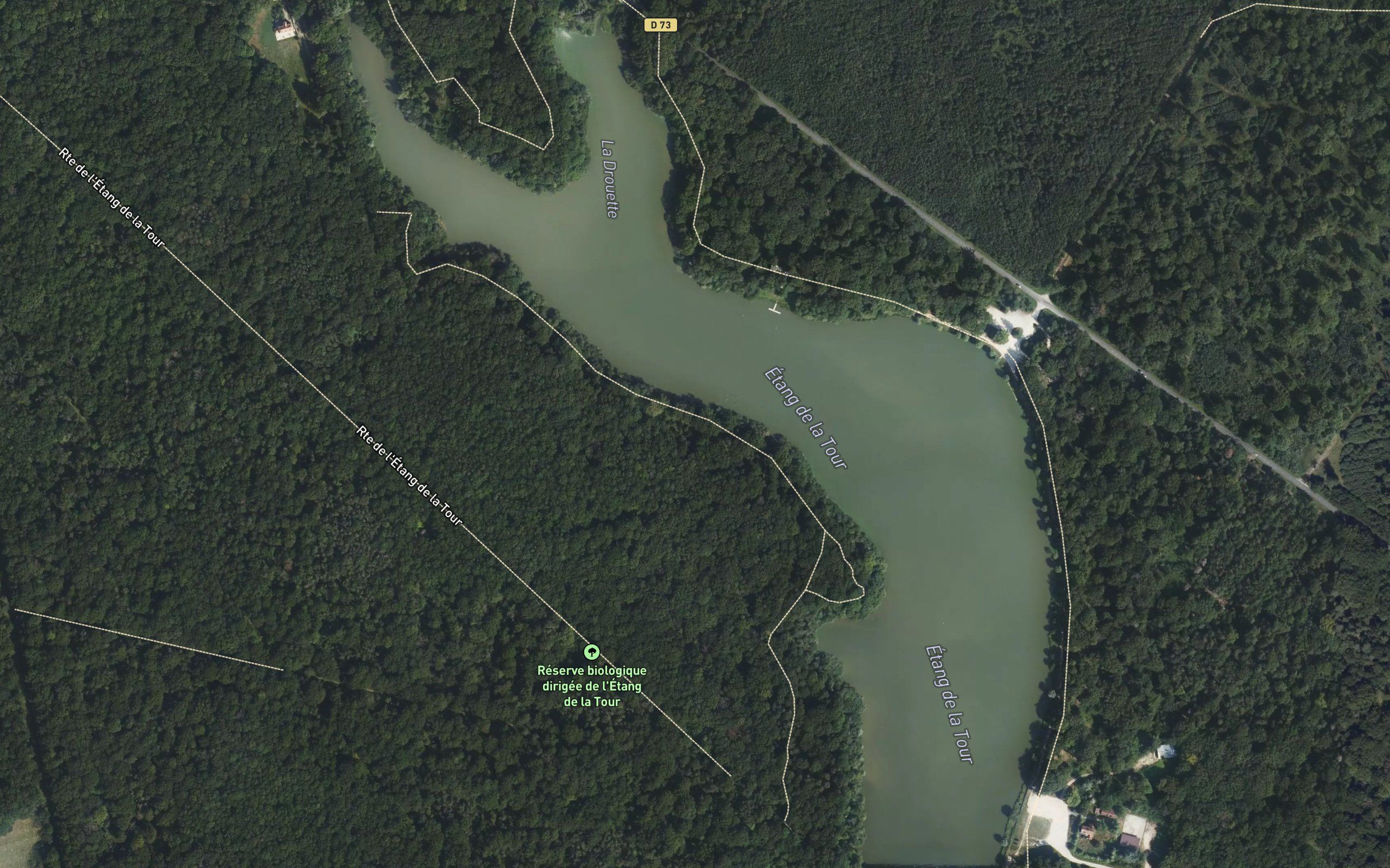Etang de la Tour