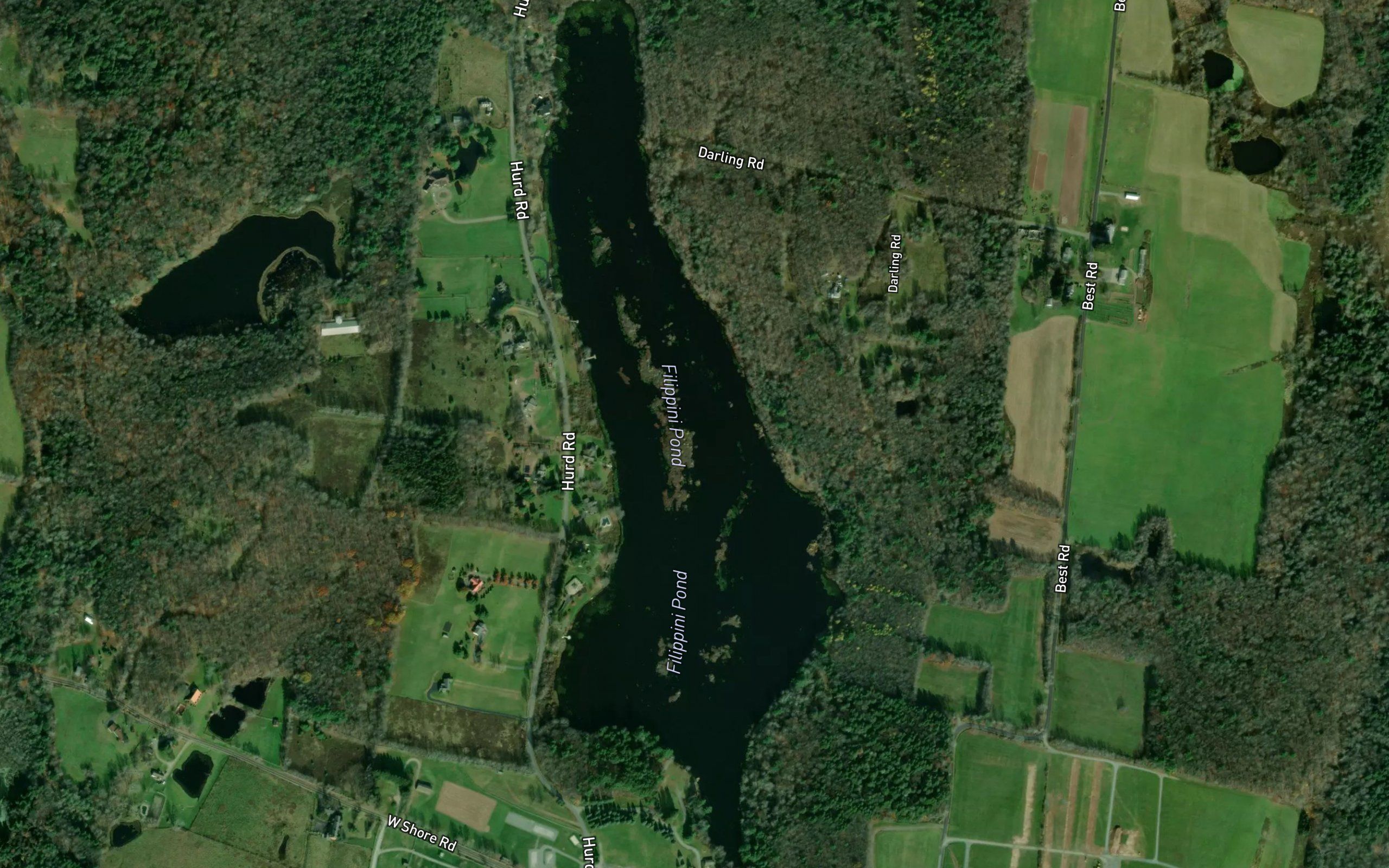 Filippini Pond
