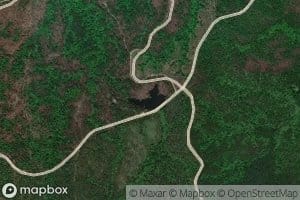 Leaf Pond