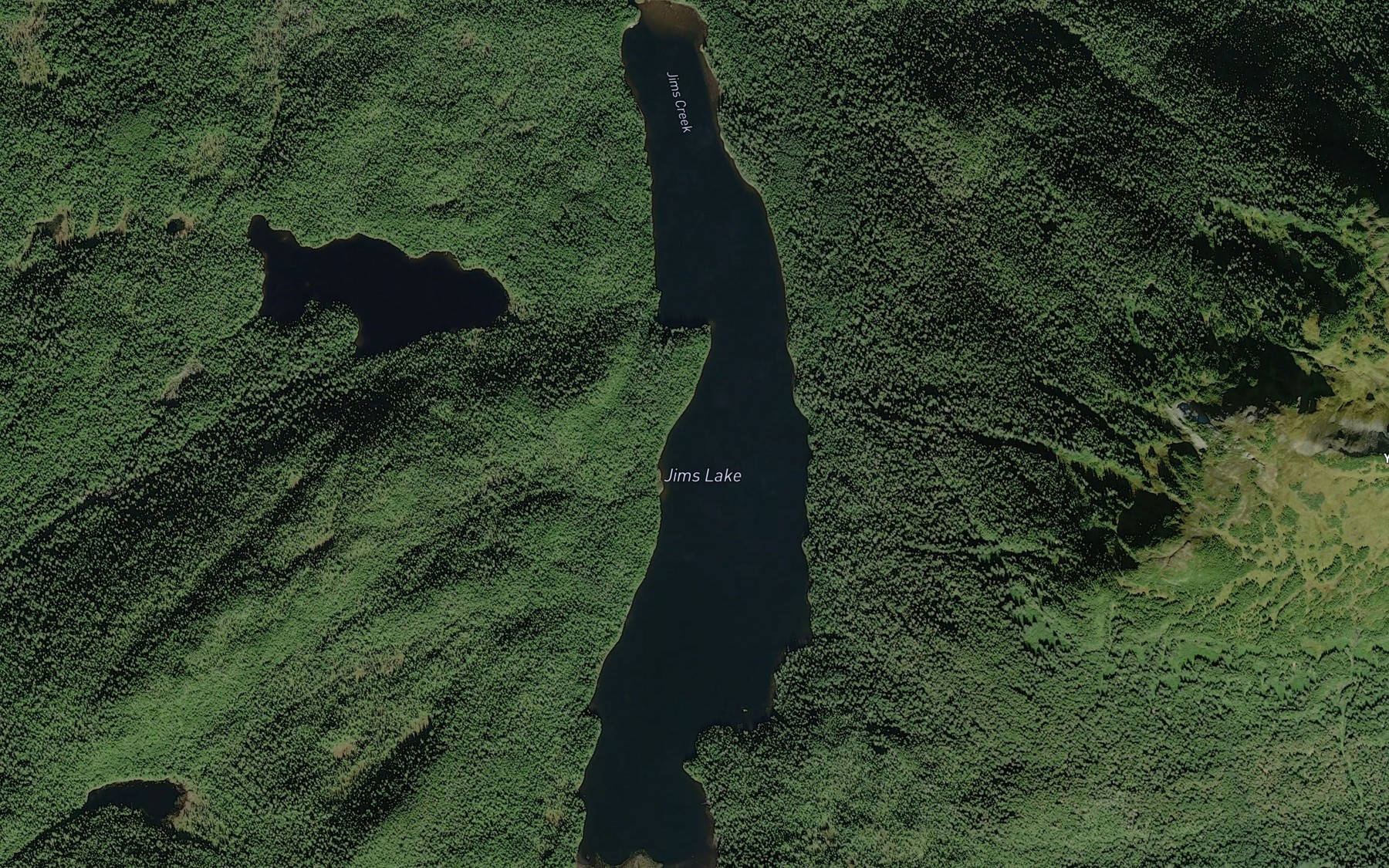 Satellite map of the Jims Lake