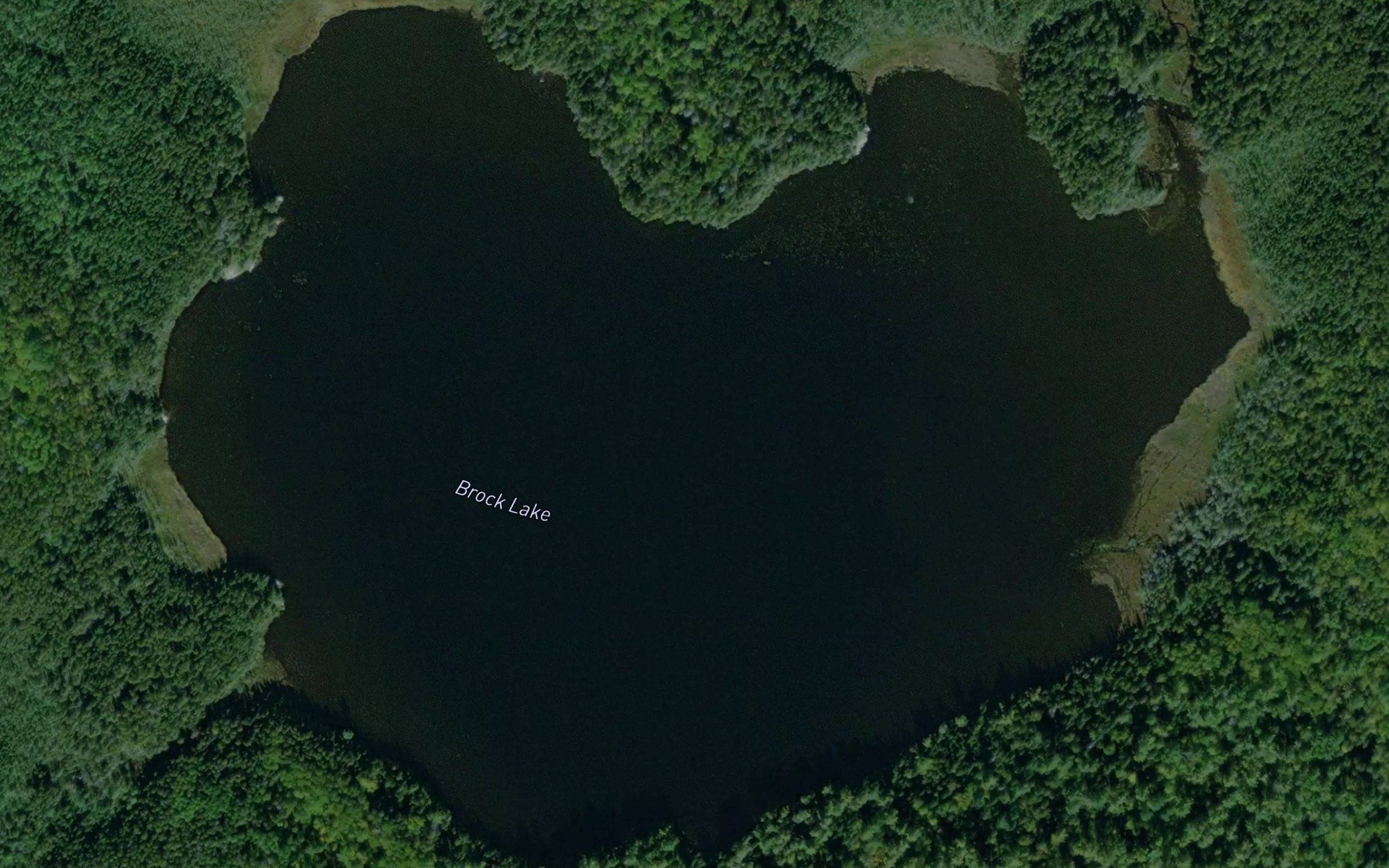 Brock Lake