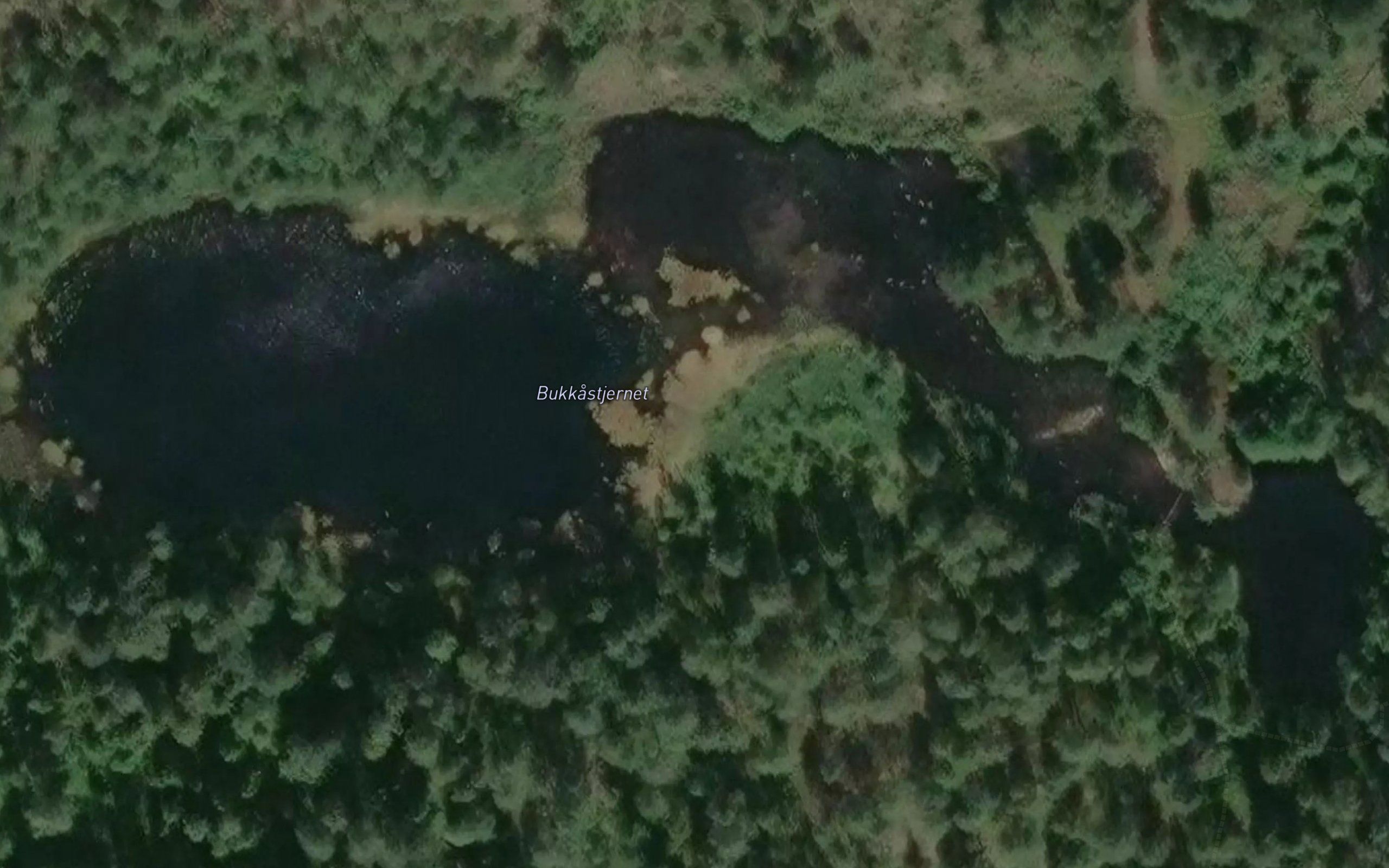 Bukkastjernet