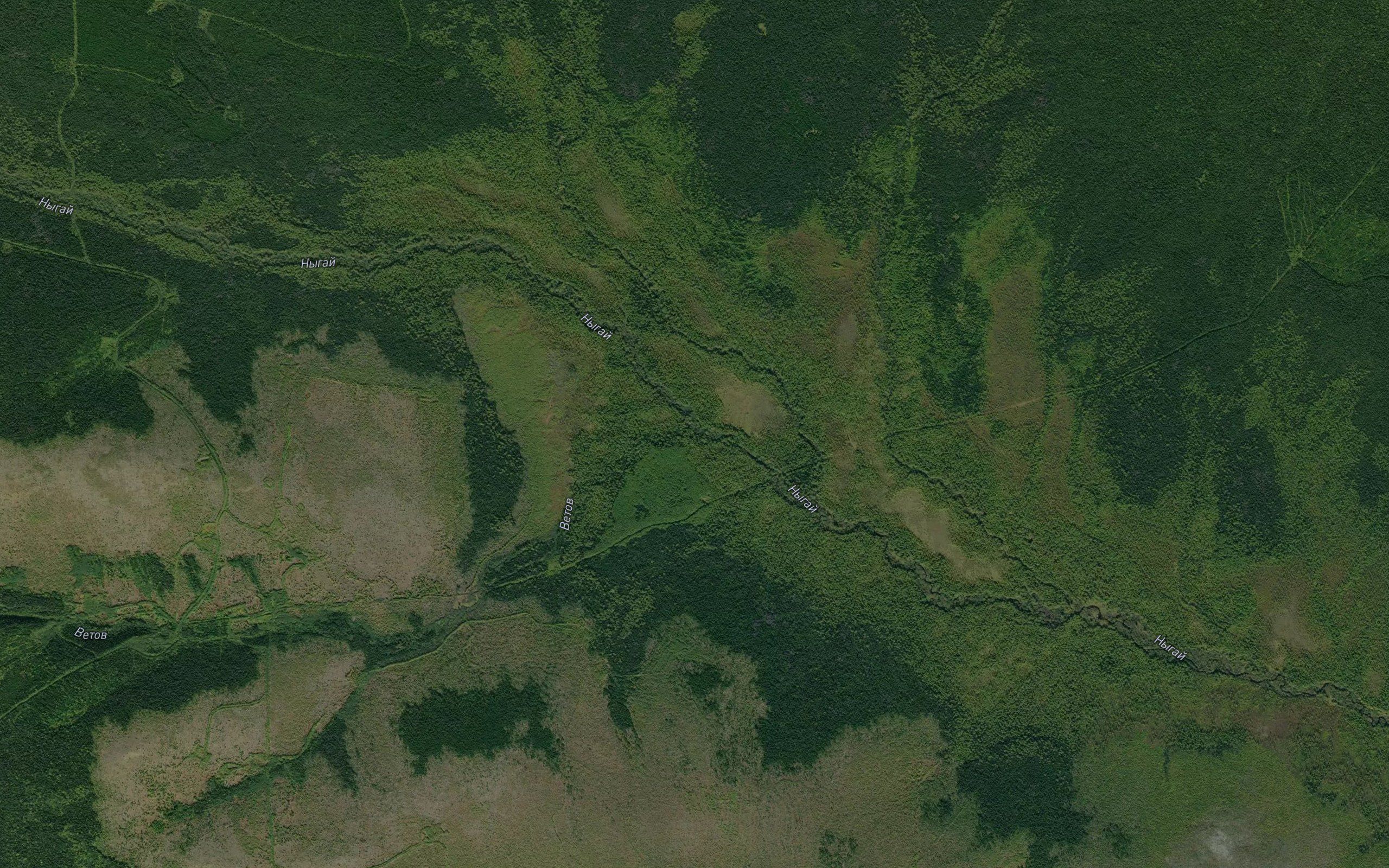 Vetov