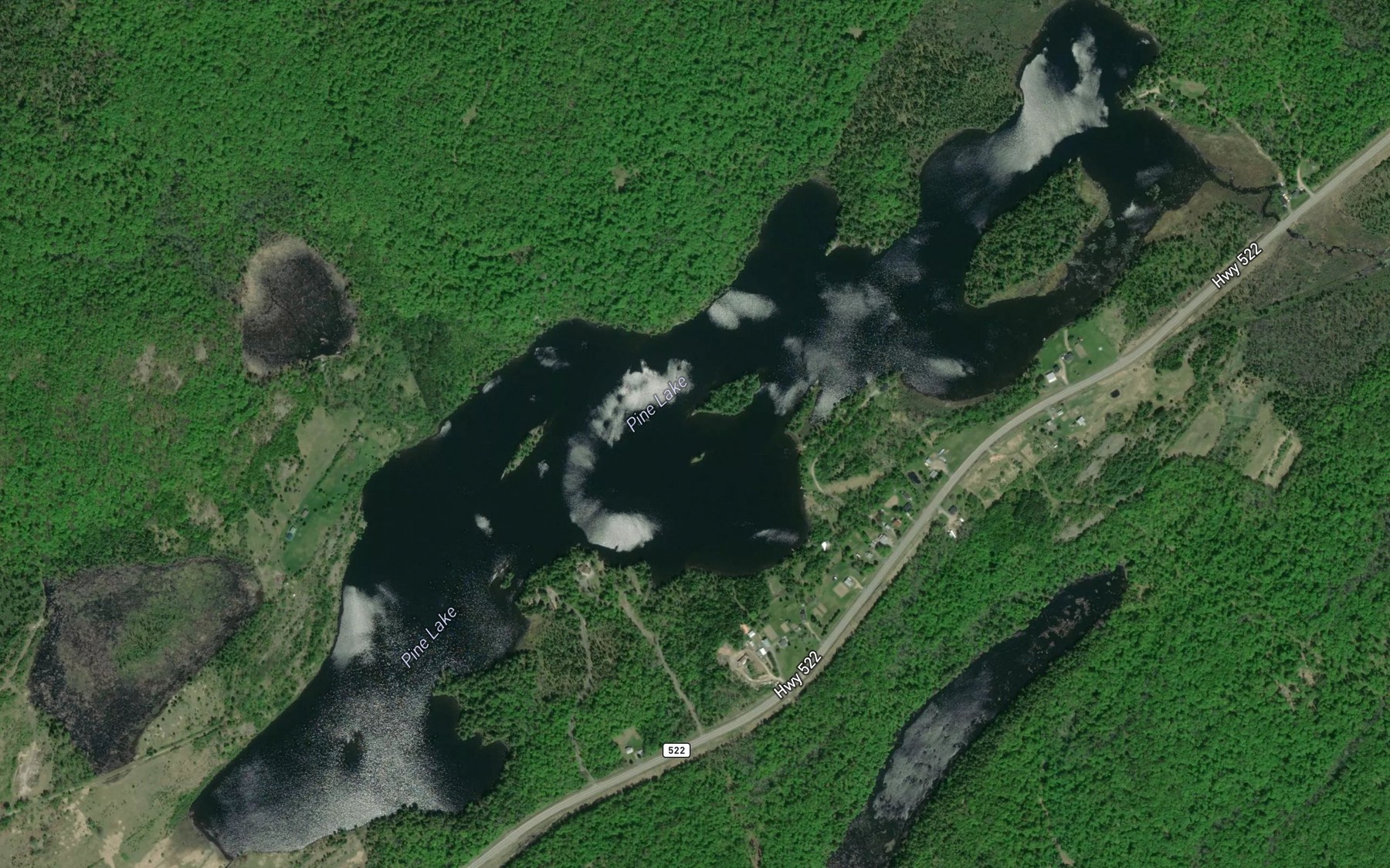 Satellite map of the Pine Lake